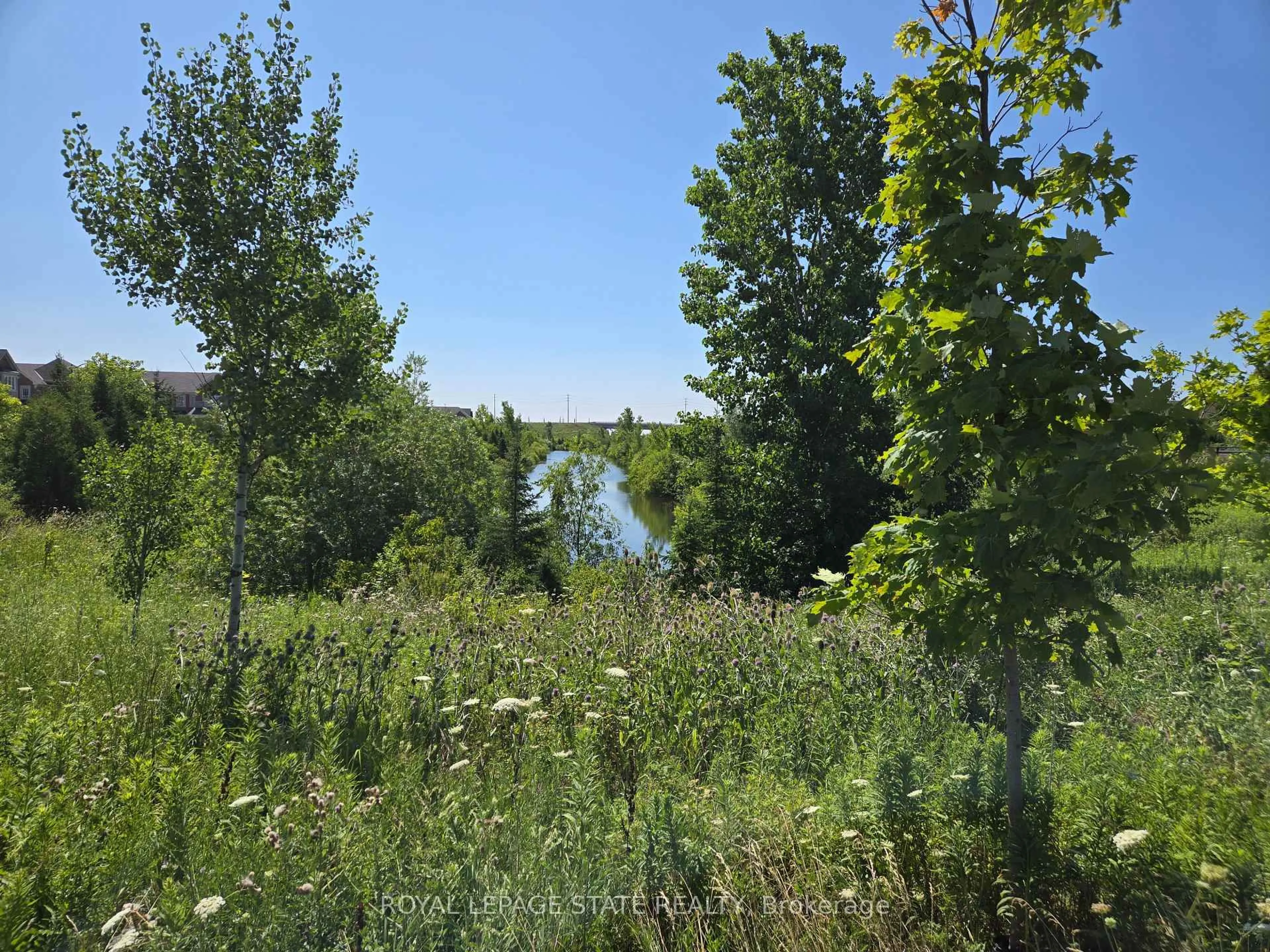 A pic from outside/outdoor area/front of a property/back of a property/a pic from drone, forest/trees view for 50 Dredge Crt, Milton Ontario L9T 8T1