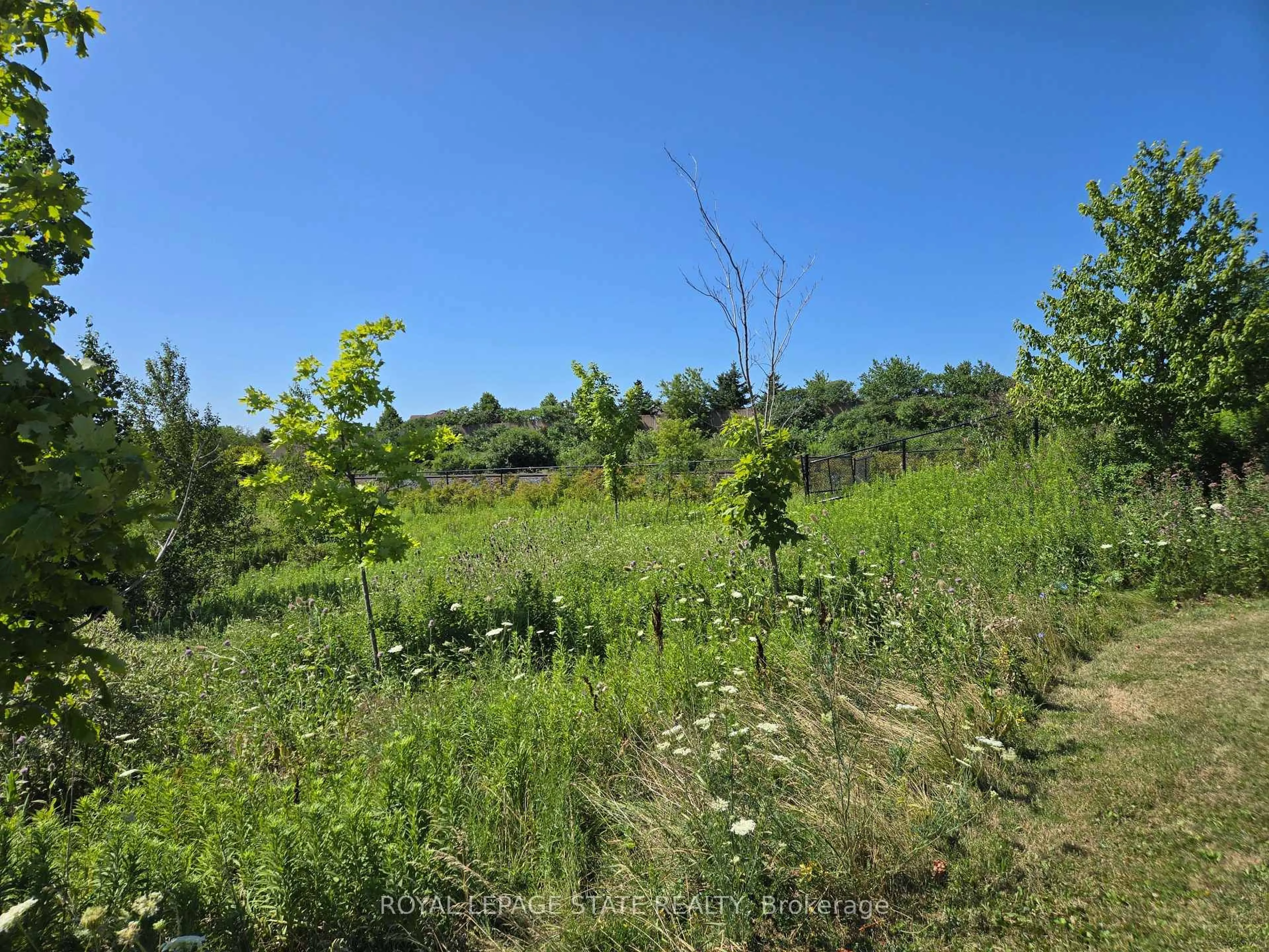 A pic from outside/outdoor area/front of a property/back of a property/a pic from drone, forest/trees view for 50 Dredge Crt, Milton Ontario L9T 8T1