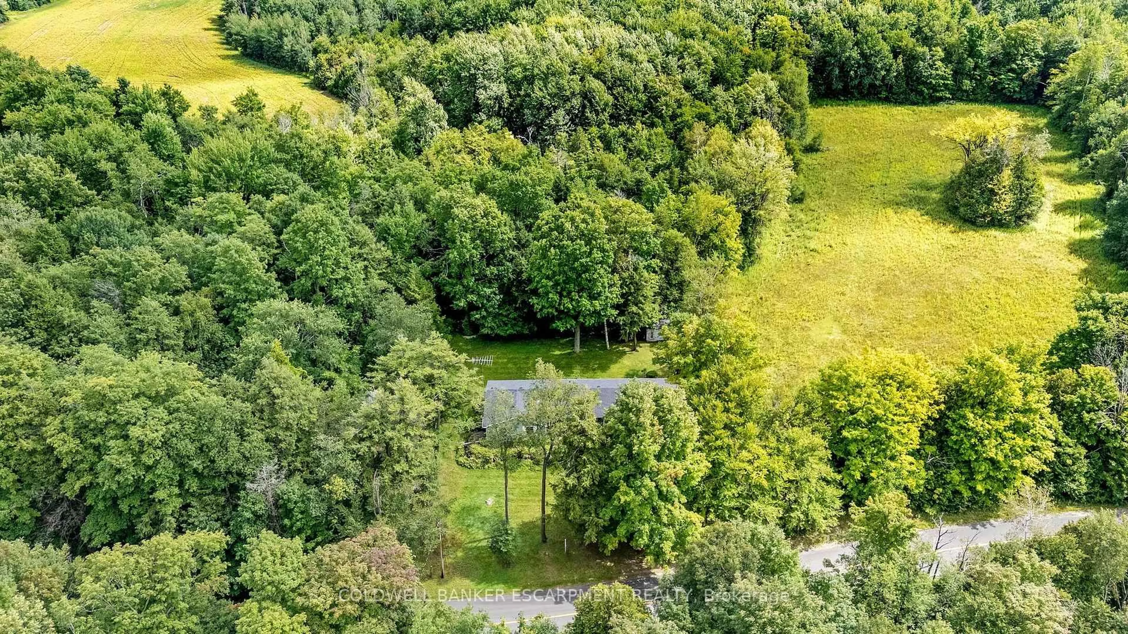 A pic from outside/outdoor area/front of a property/back of a property/a pic from drone, forest/trees view for 7470 22 Sdrd, Halton Hills Ontario L7J 2M1