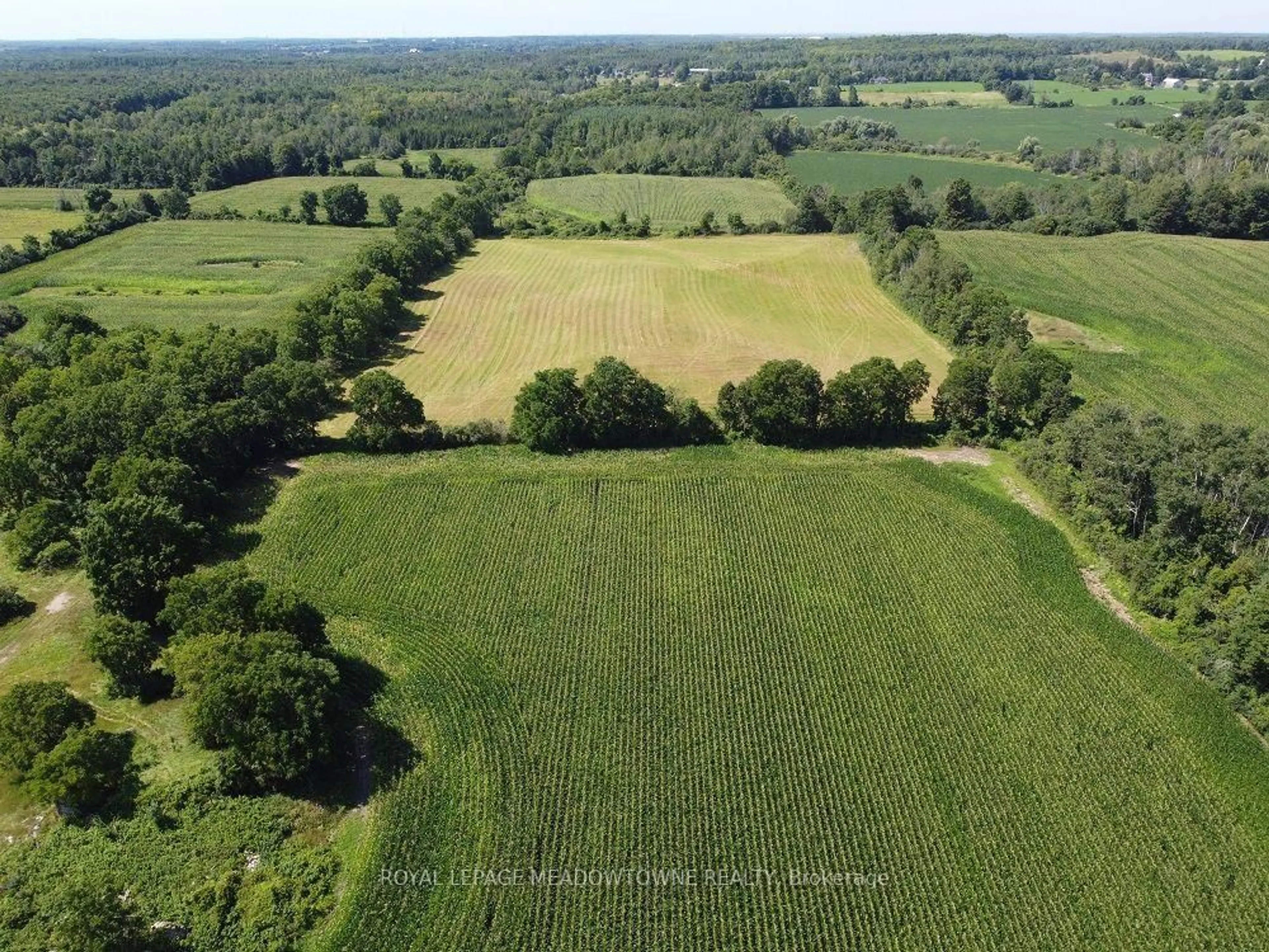 A pic from outside/outdoor area/front of a property/back of a property/a pic from drone, forest/trees view for 11080 First Line Nassagaweya, Milton Ontario L0P 1J0