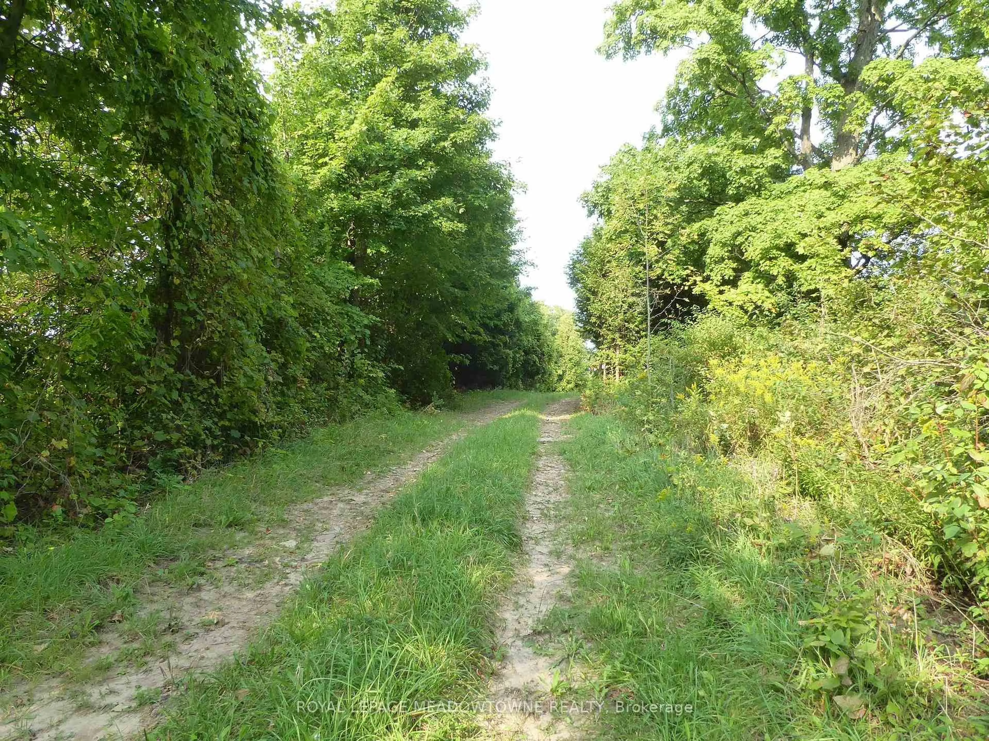 Unknown for 11080 First Line Nassagaweya, Milton Ontario L0P 1J0