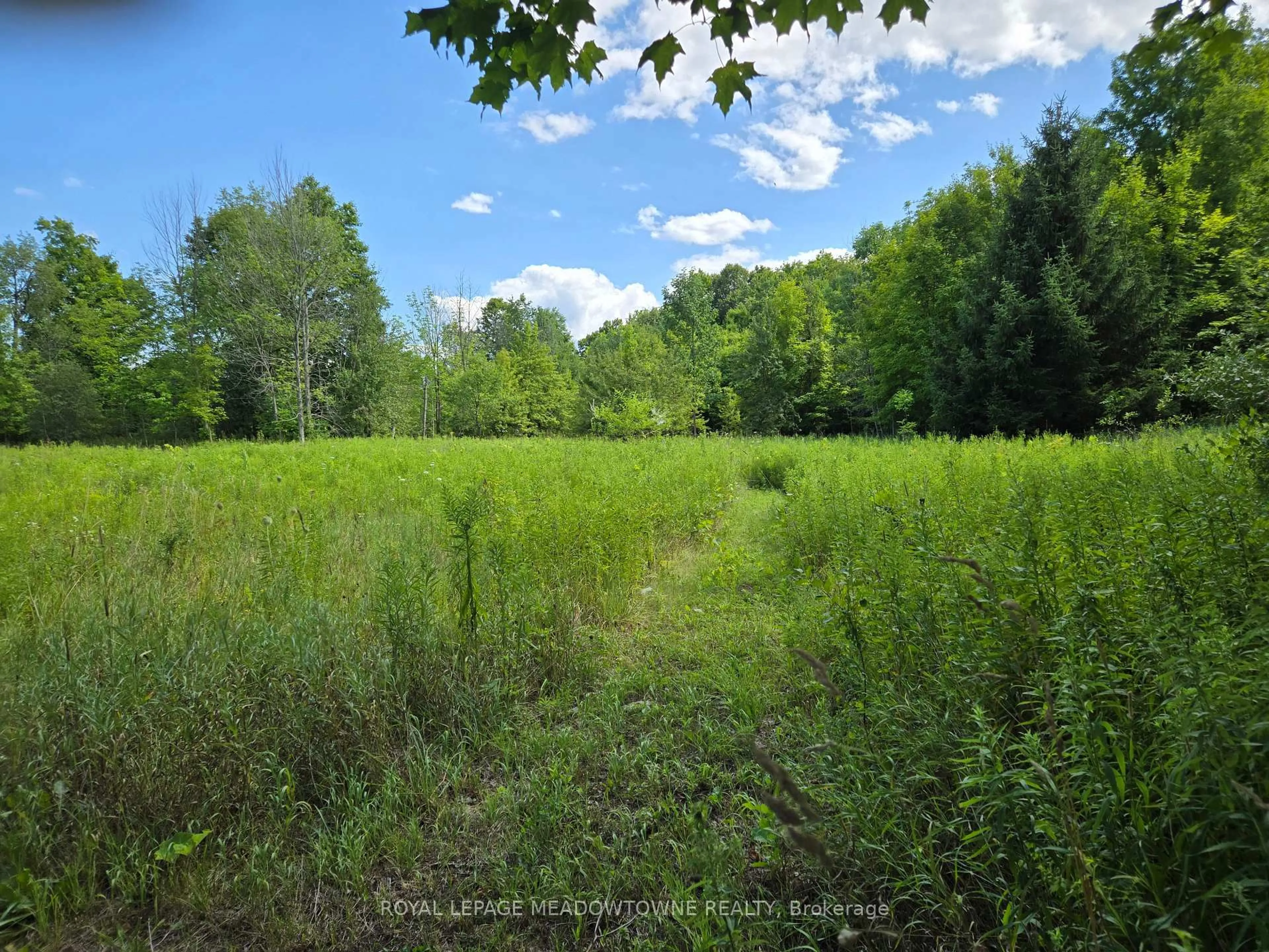Unknown for 9414 First Line Nassagaweya, Milton Ontario L0P 1J0