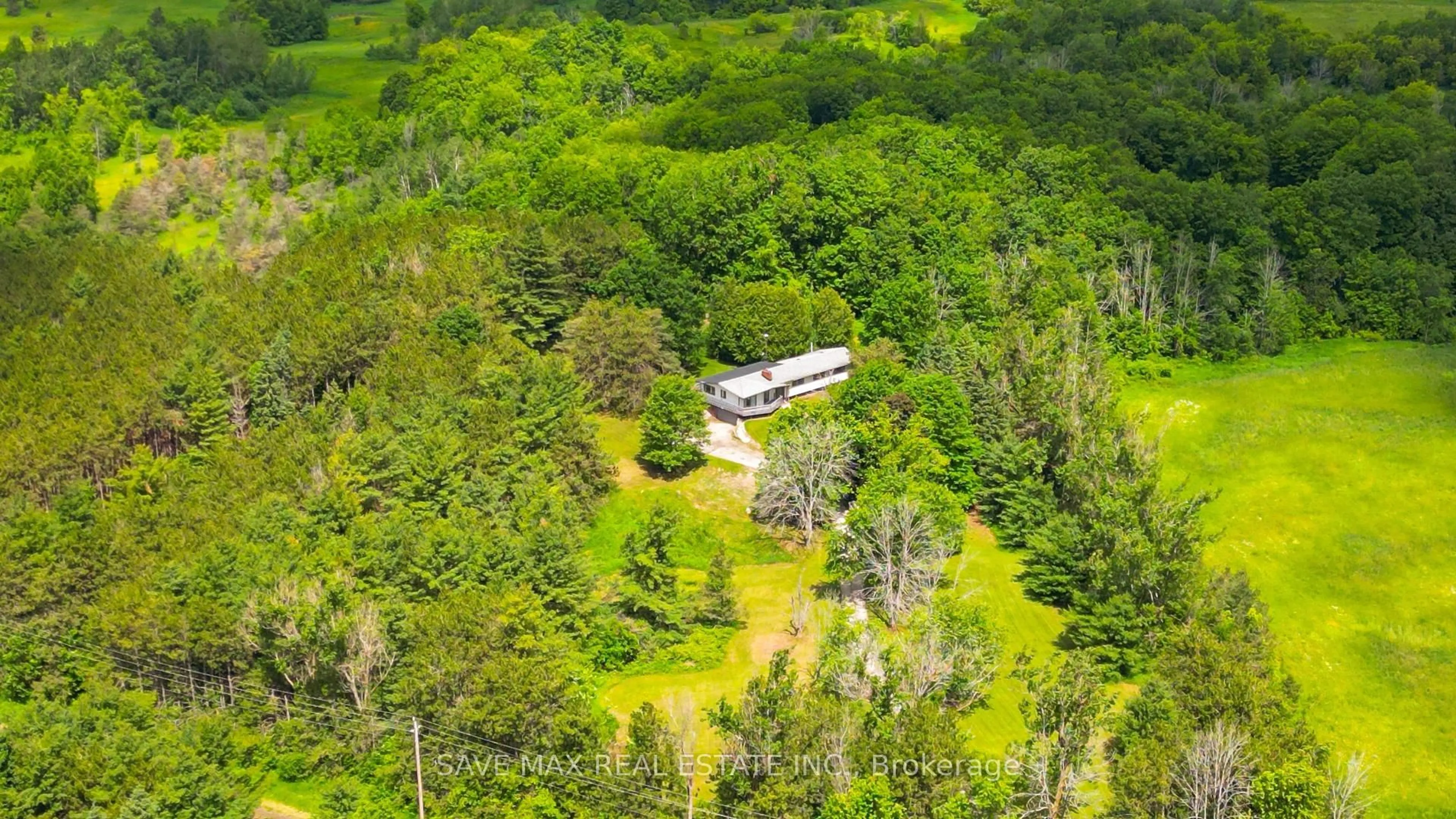 A pic from outside/outdoor area/front of a property/back of a property/a pic from drone, forest/trees view for 5812 Beech Grove Sdrd, Caledon Ontario L7K 0M7