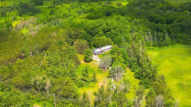 5812 Beech Grove Sdrd, Caledon 2