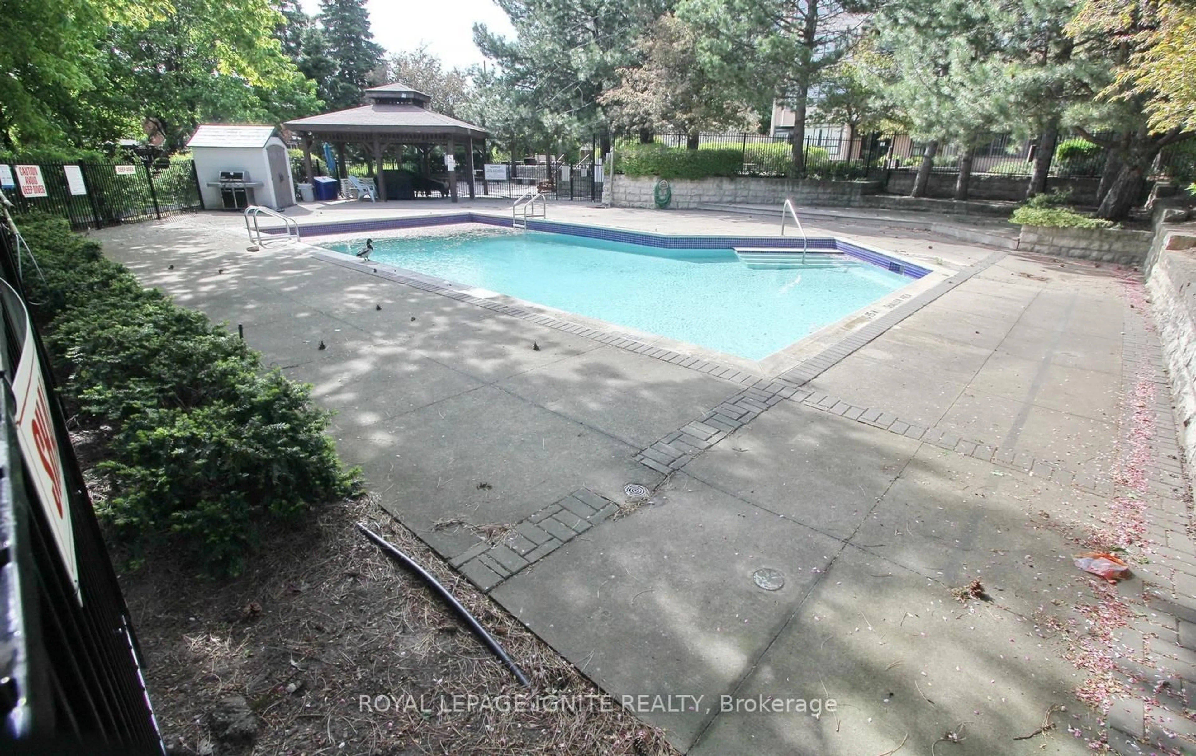 Pool for 10 Malta Ave #503, Brampton Ontario L6Y 4G6