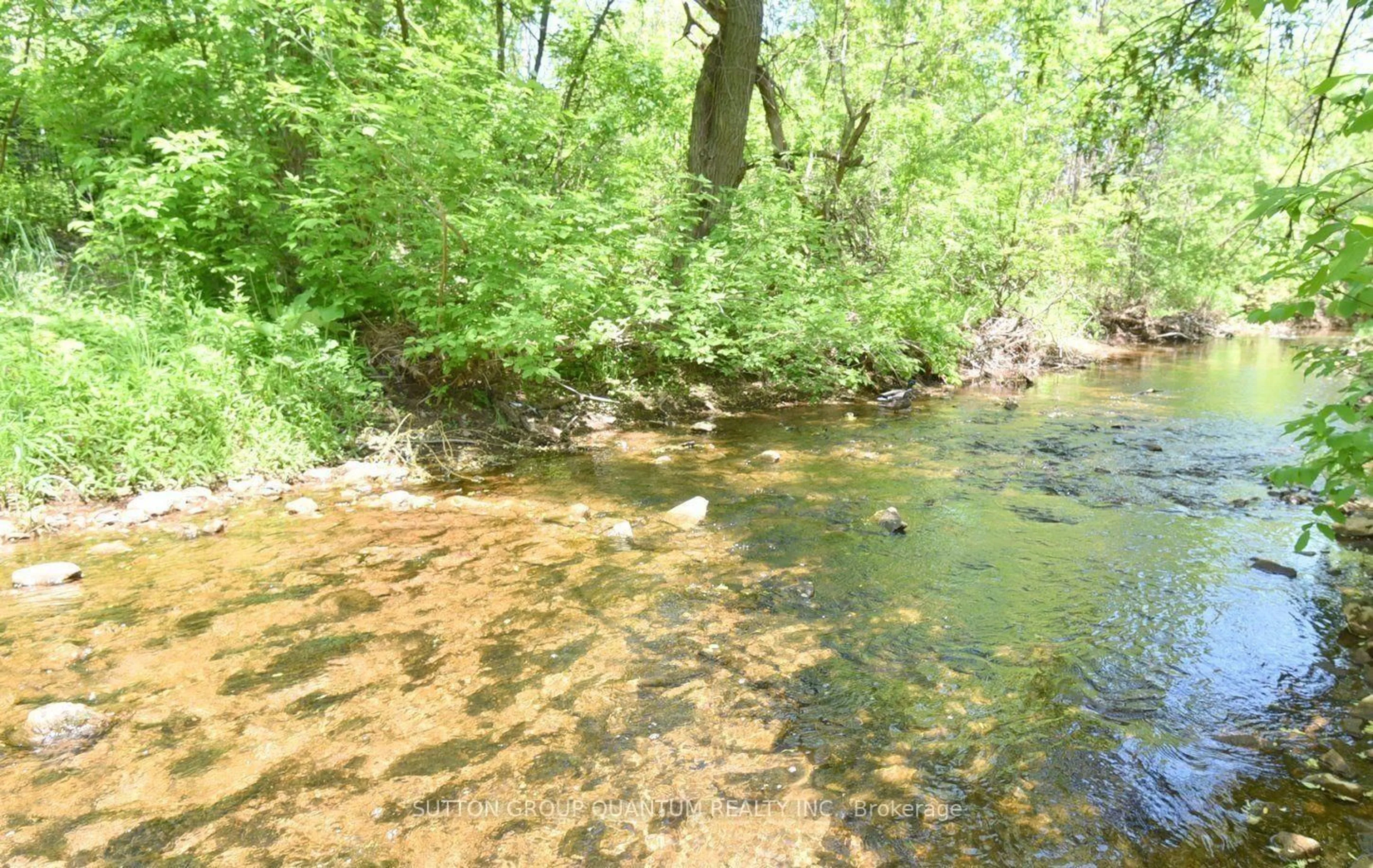 Blurry image for 499 Valley Dr, Oakville Ontario L6L 4L9