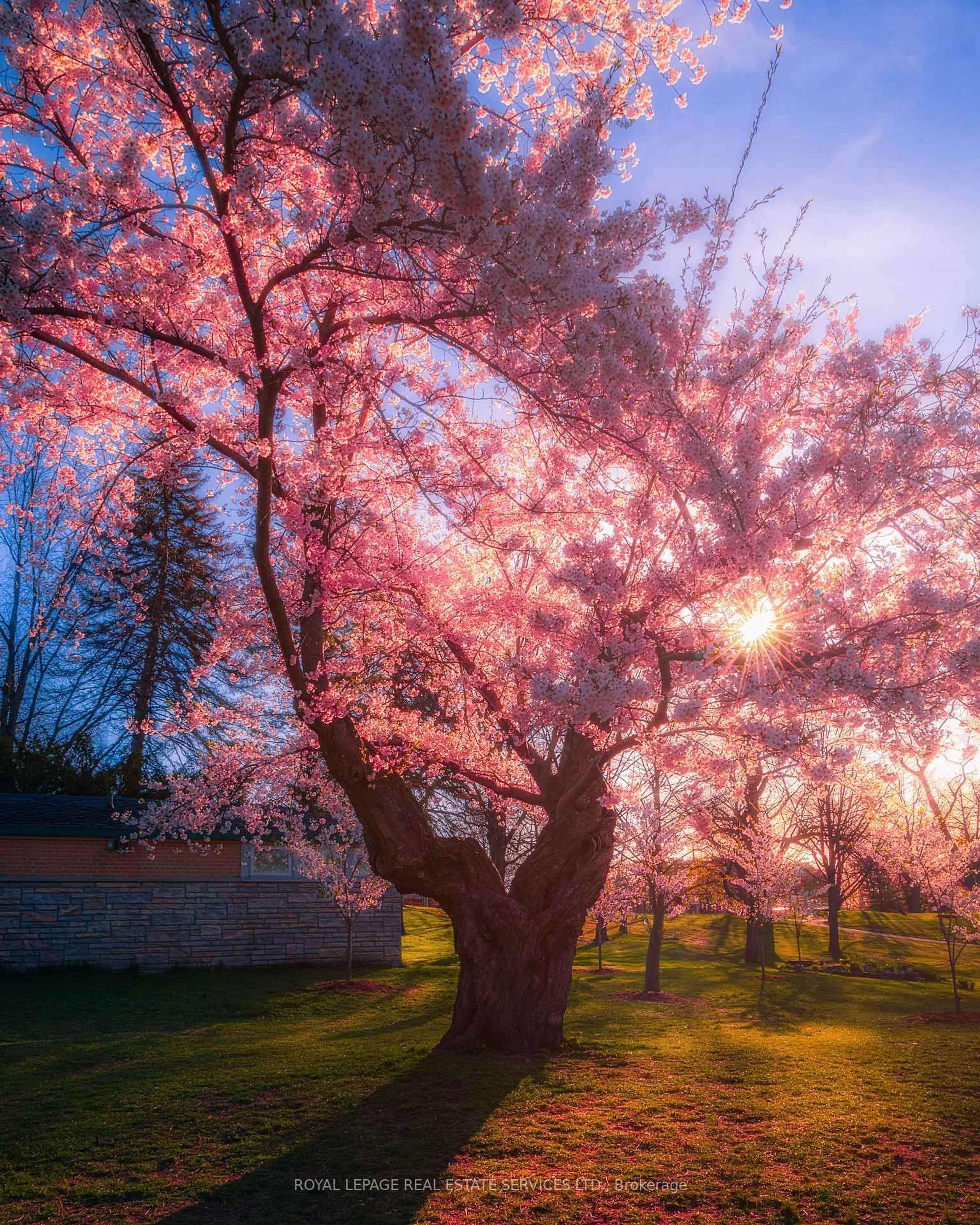 Blurry image for 137 High Park Ave, Toronto Ontario M6P 2S3