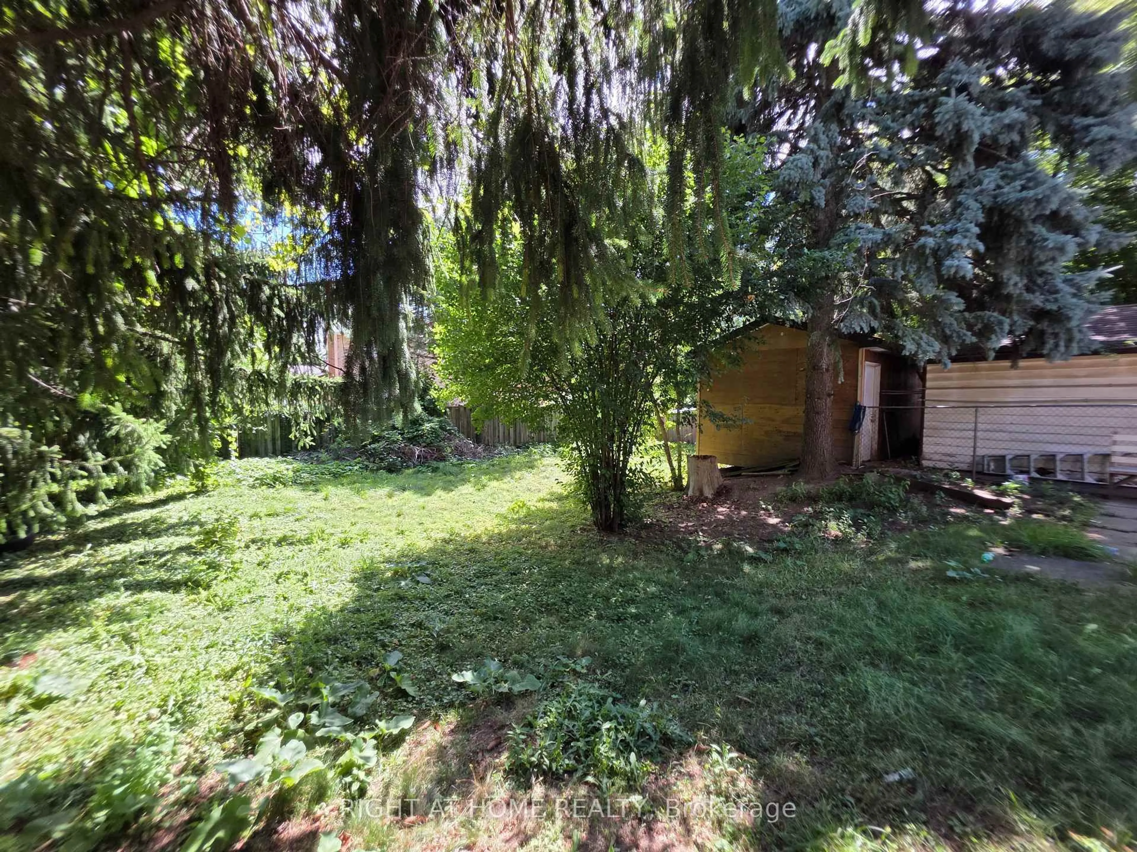 Shed for 9 Rogers Rd, Brampton Ontario L6X 1L7