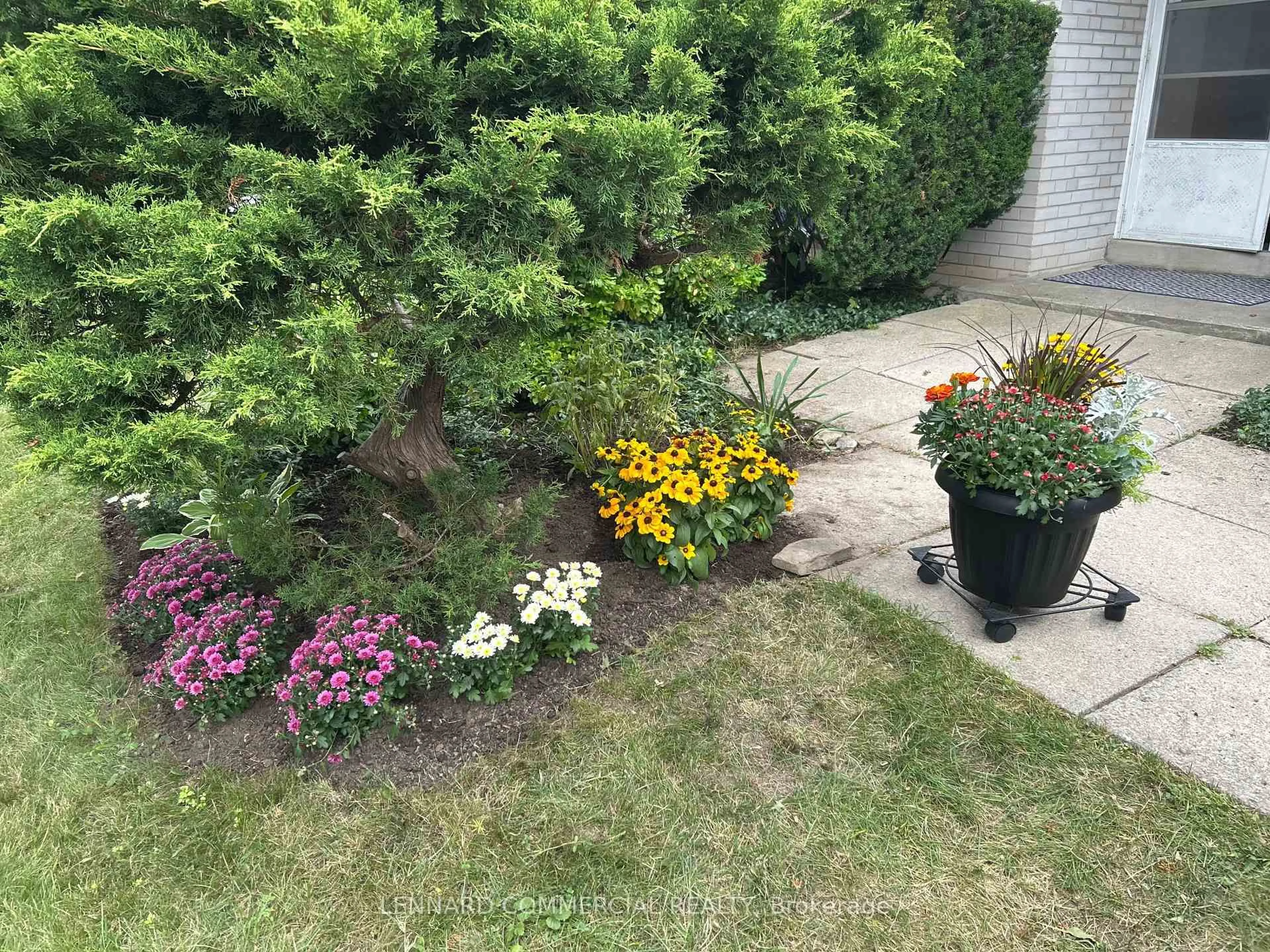 Patio, street for 149 Verobeach Blvd, Toronto Ontario M9M 1R2