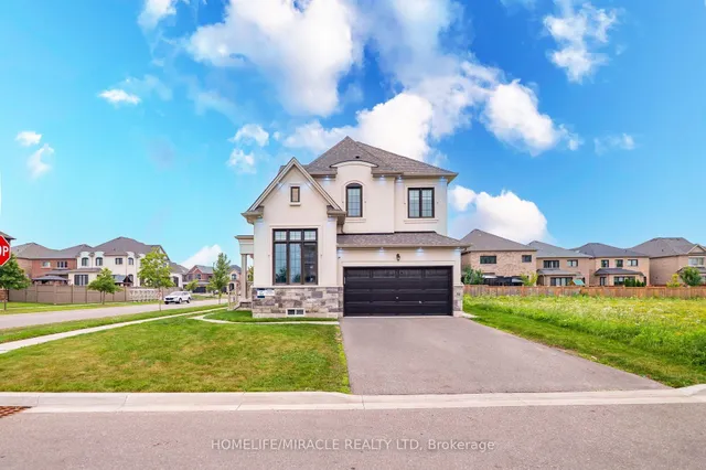 4 Vineyard Dr, Brampton 5