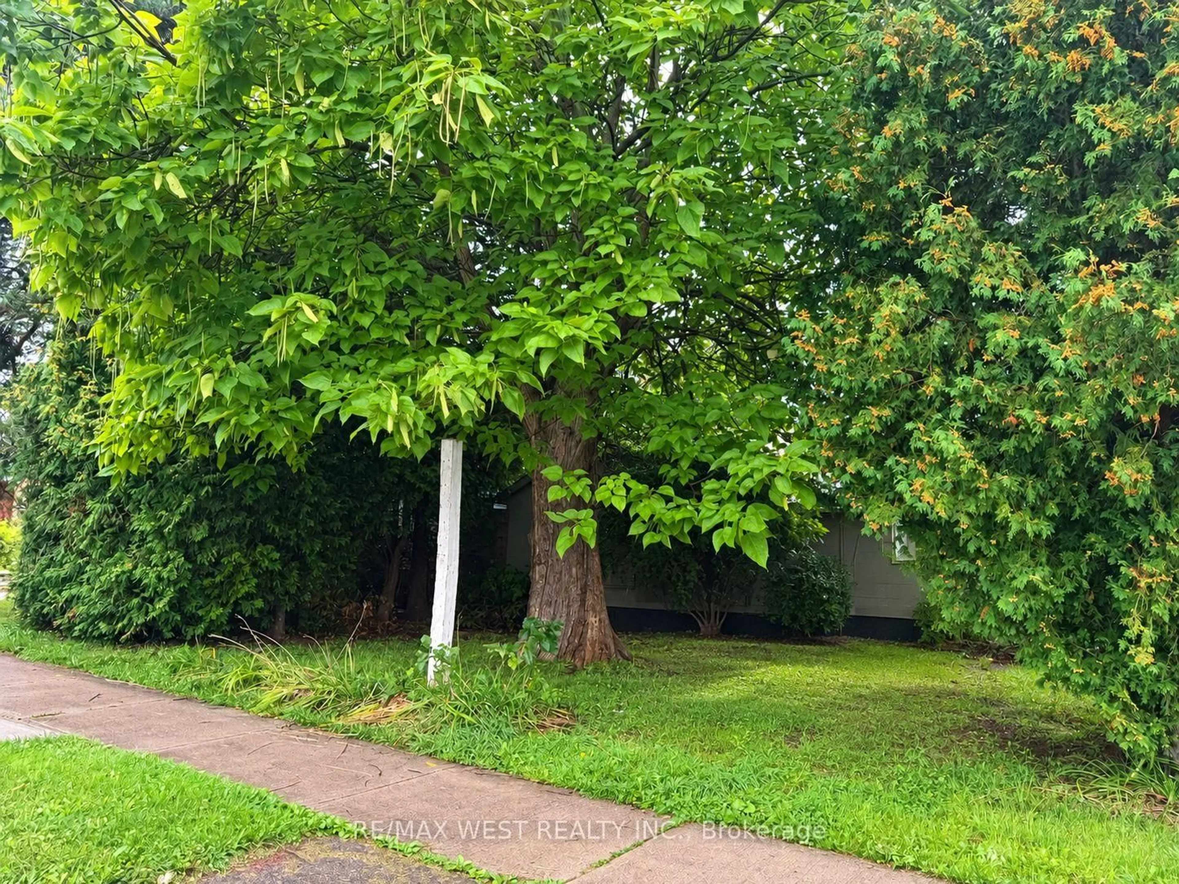 A pic from outside/outdoor area/front of a property/back of a property/a pic from drone, forest/trees view for 1304 Alexandra Ave, Mississauga Ontario L5E 2A6