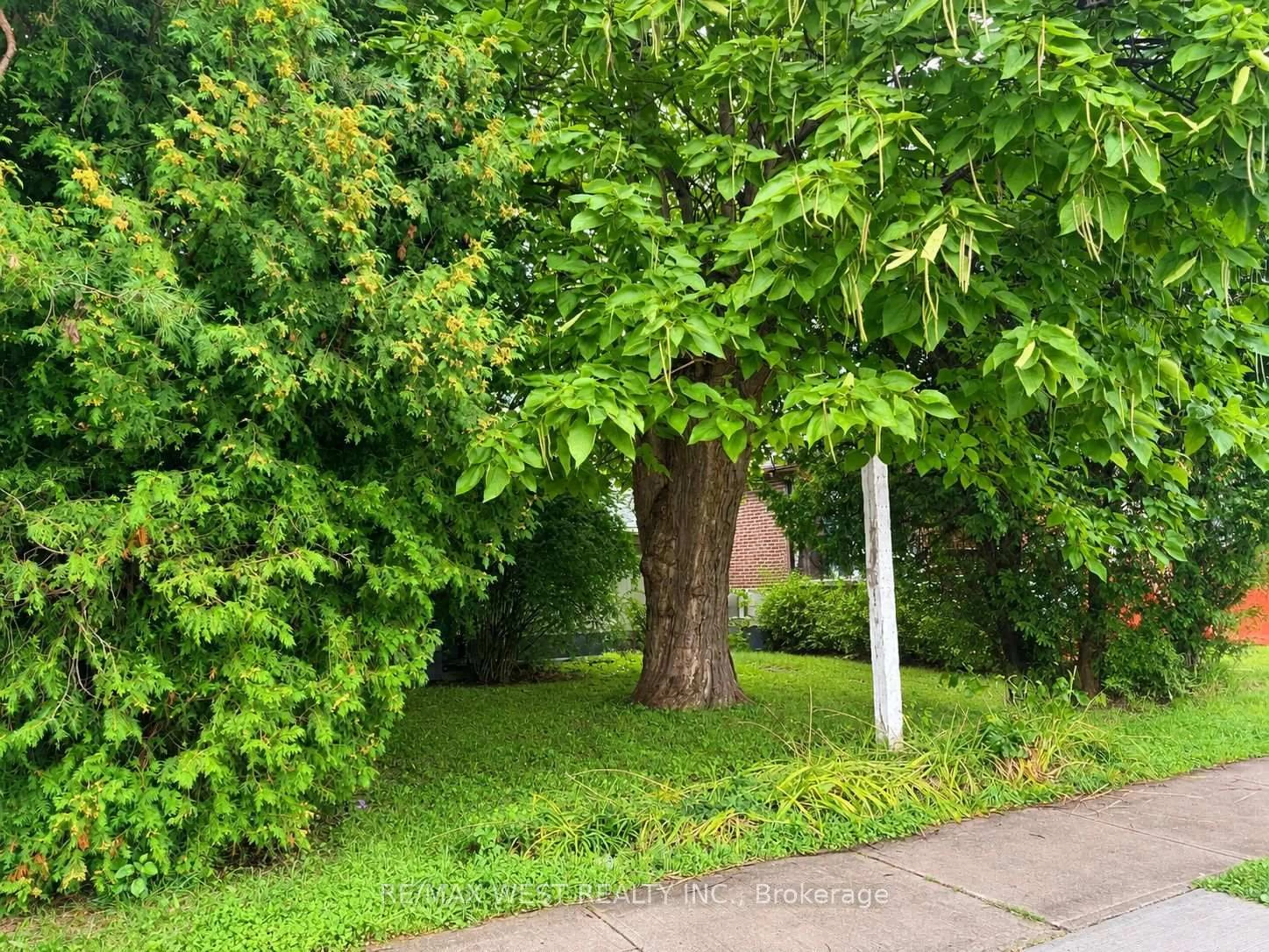 A pic from outside/outdoor area/front of a property/back of a property/a pic from drone, forest/trees view for 1304 Alexandra Ave, Mississauga Ontario L5E 2A6