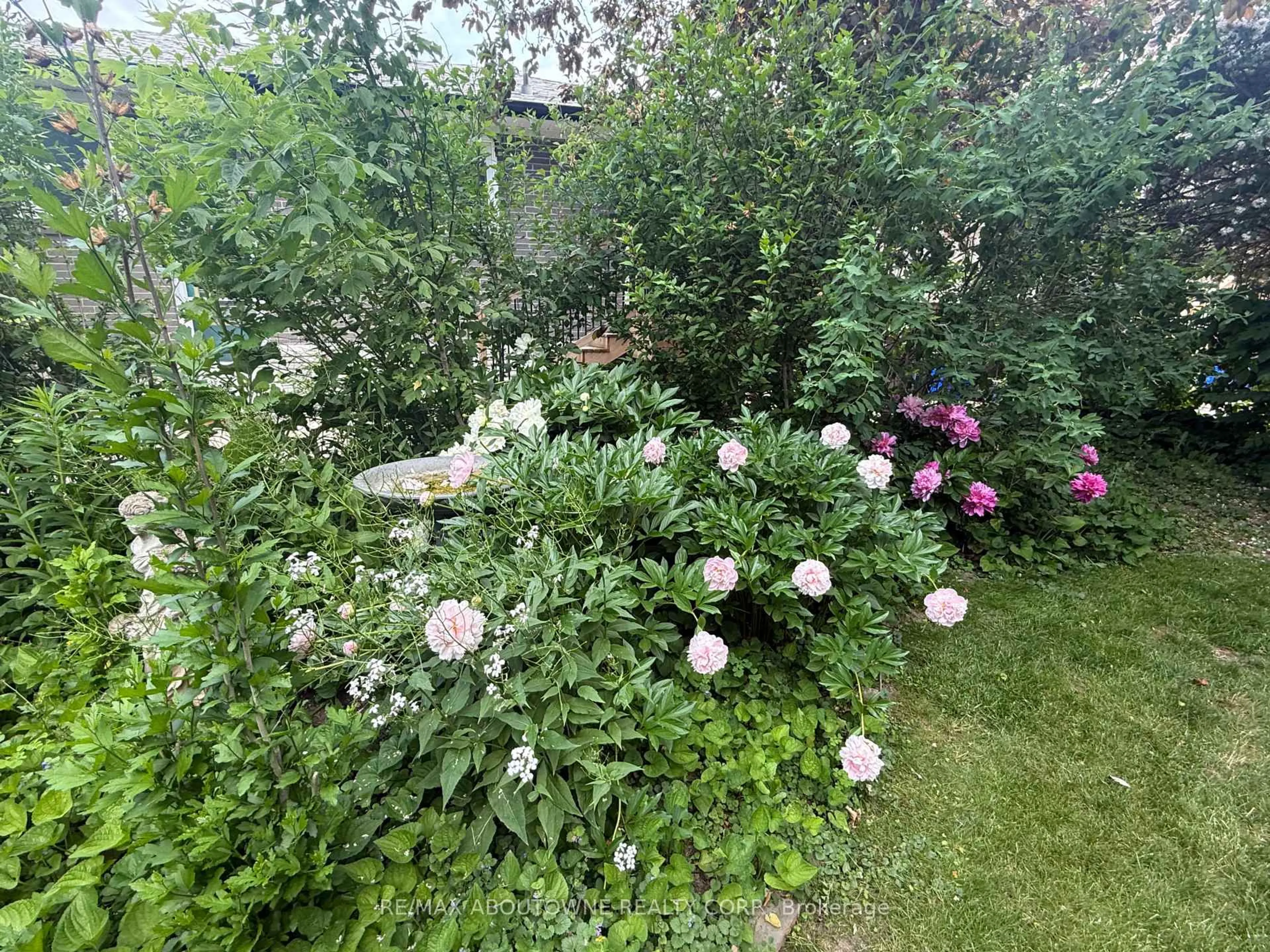 A pic from outside/outdoor area/front of a property/back of a property/a pic from drone, street for 134 Wakefield Rd, Milton Ontario L9T 2L9