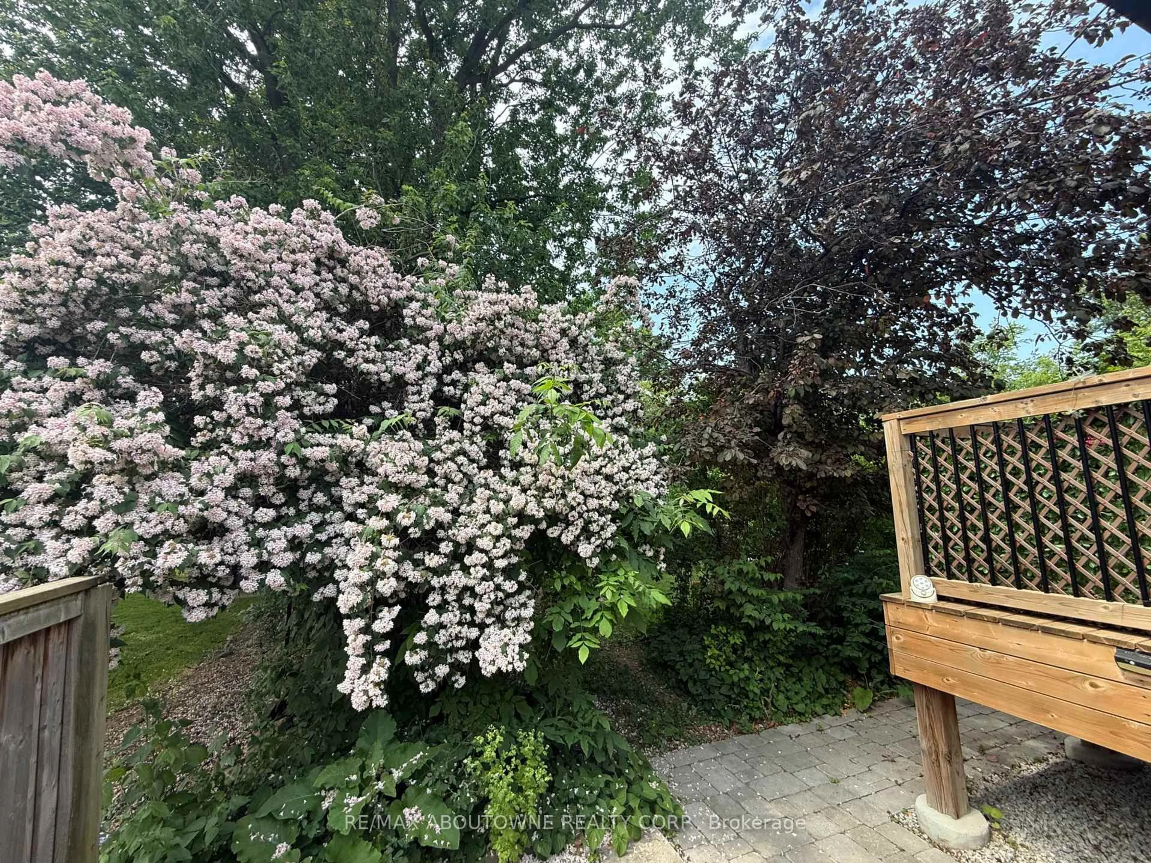 A pic from outside/outdoor area/front of a property/back of a property/a pic from drone, forest/trees view for 134 Wakefield Rd, Milton Ontario L9T 2L9
