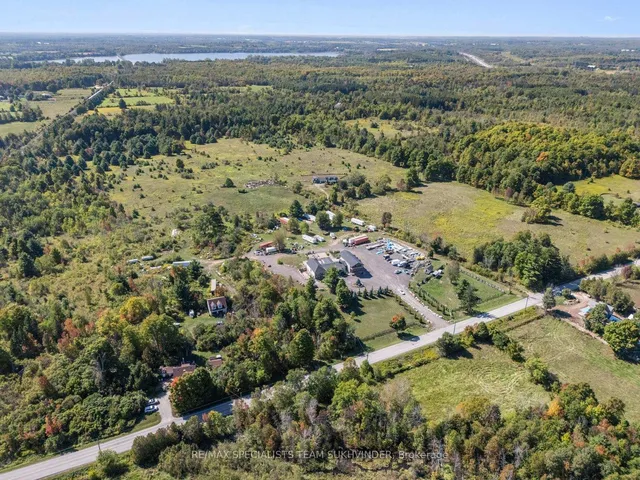 9256 First Line Nassagaweya, Milton 3