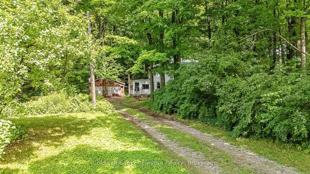 2529 Campbellville Rd, Milton 3