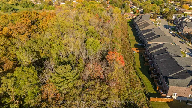 1358 Almonte Dr, Burlington 4