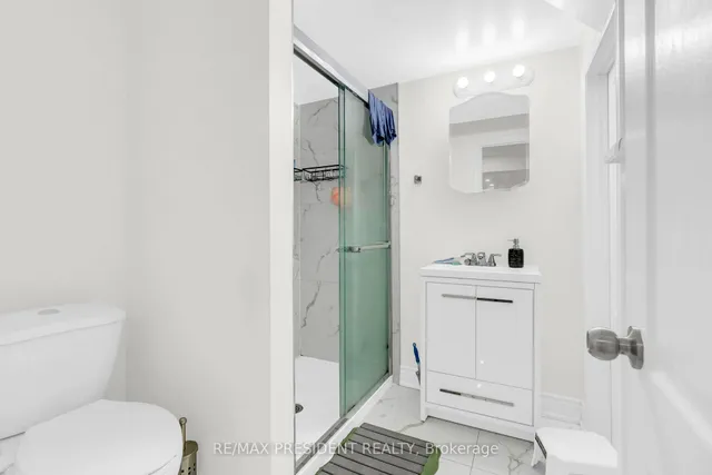 25 Selsdon St, Brampton 5