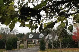 history photo preview