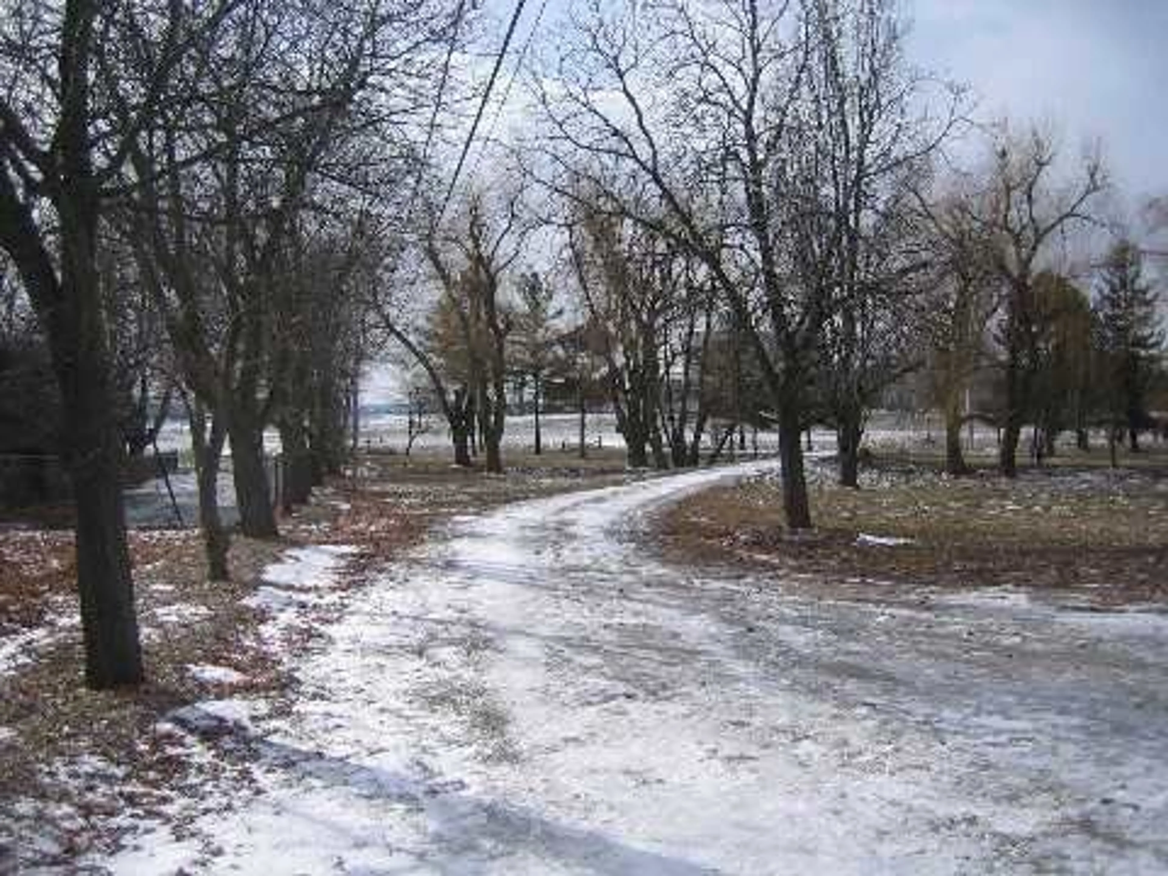 trreb/IMG-W3088547_1.jpg