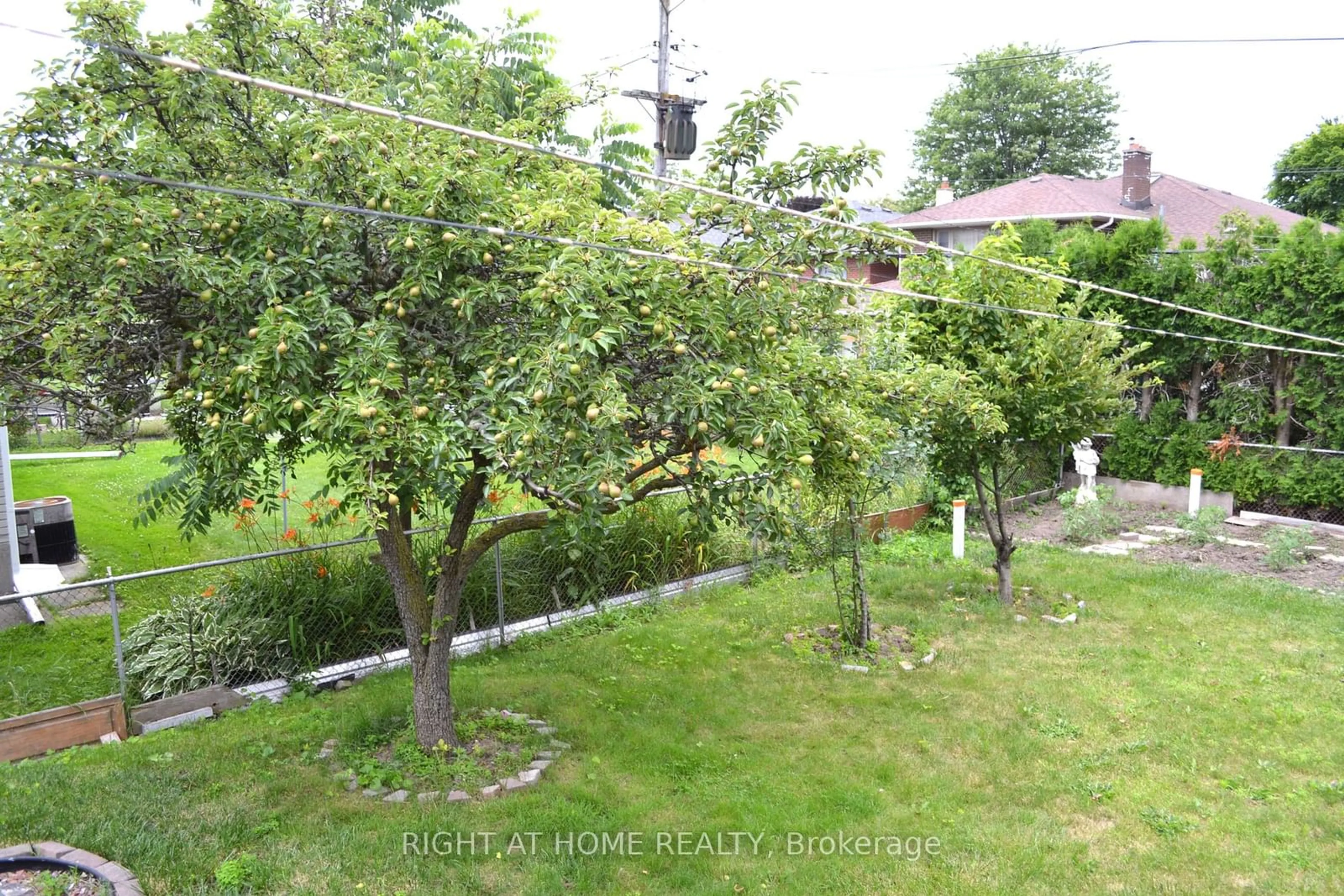 Street view for 268 La Rose Ave, Toronto Ontario M9B 1B9