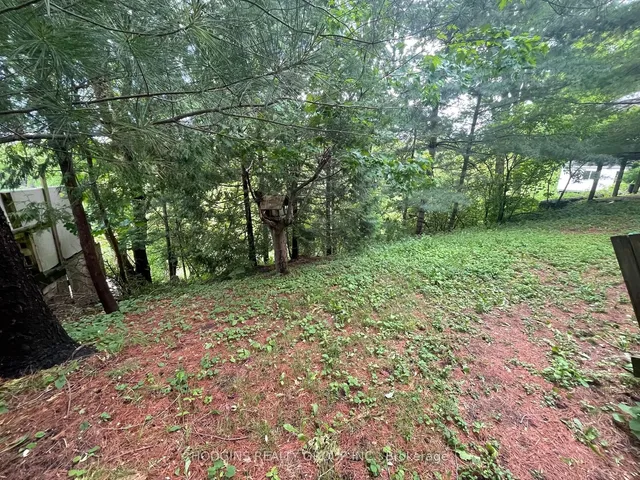 Additional property image - 63 River Rd