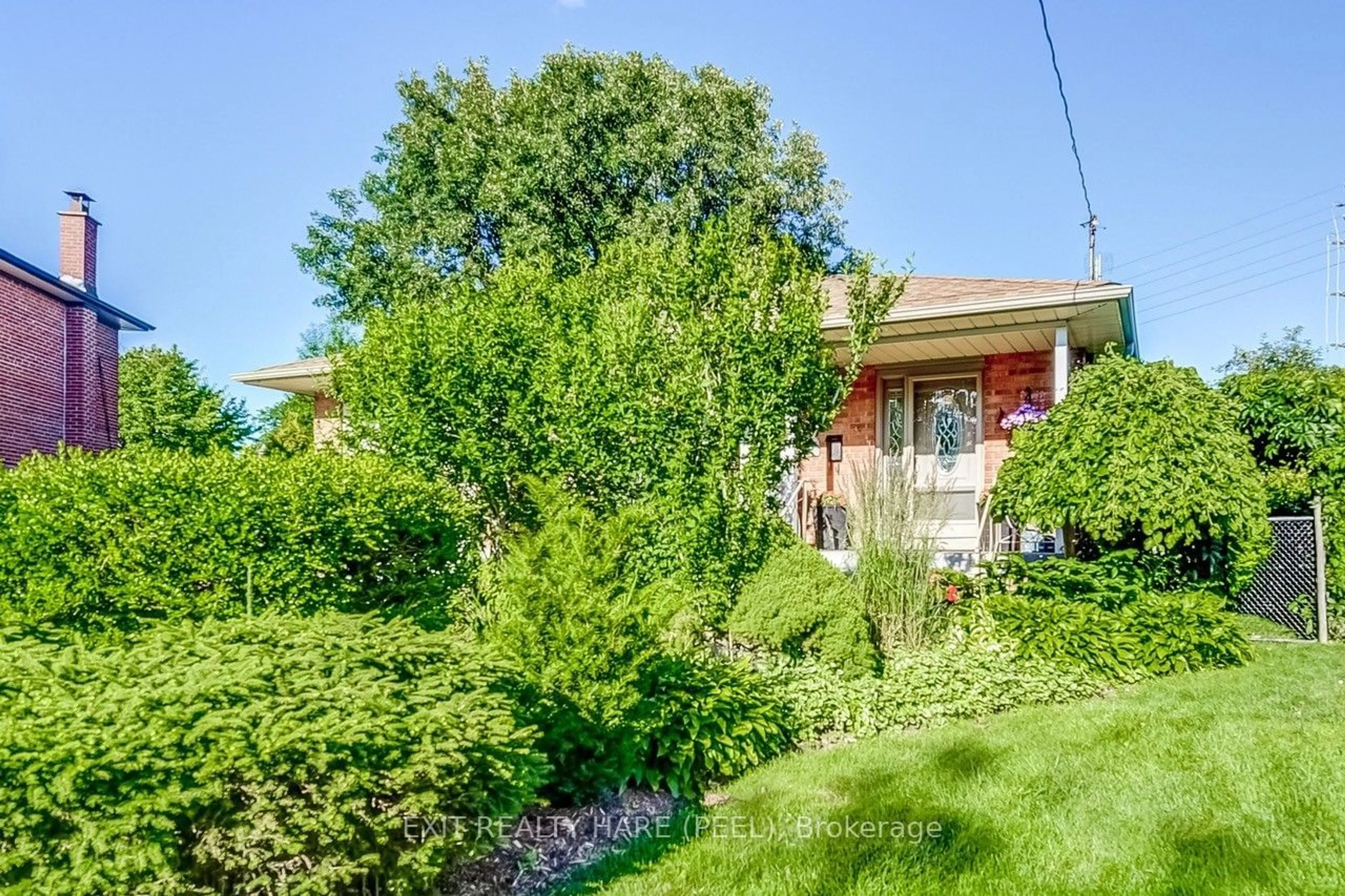 A pic from exterior of the house or condo, the fenced backyard for 10 Chestnut Ave, Brampton Ontario L6X 2A5