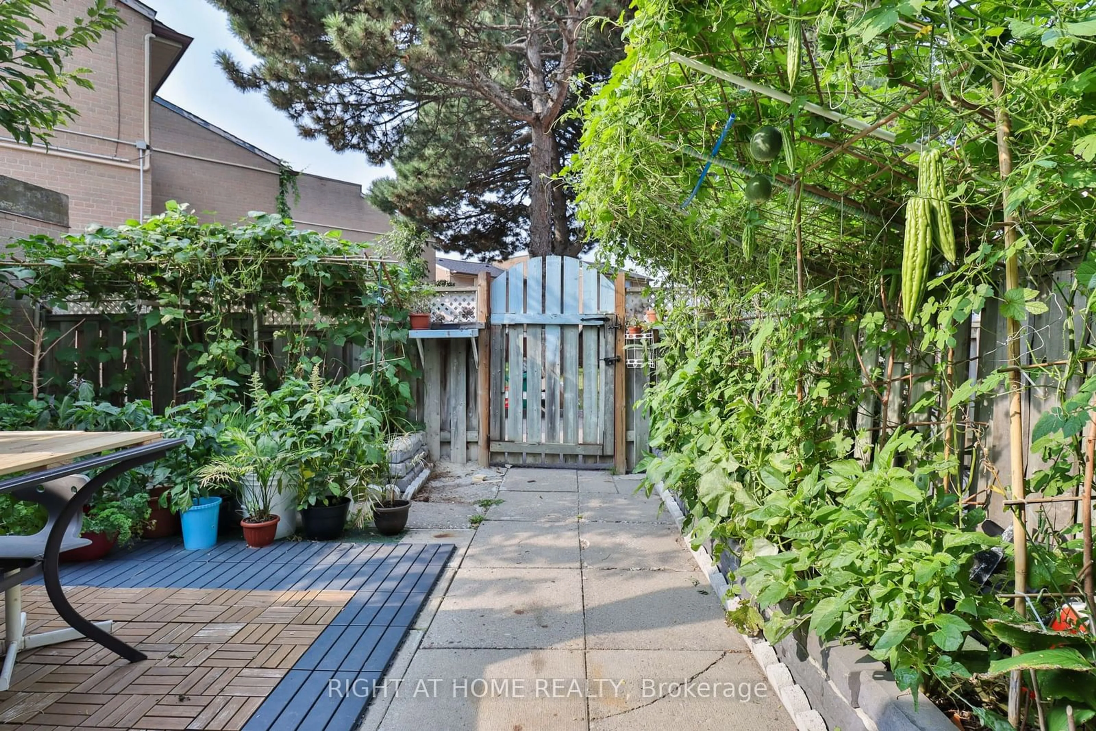 Patio, street for 260 John Garland Blvd #244, Toronto Ontario M9V 1N8