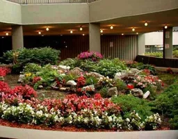 history photo preview