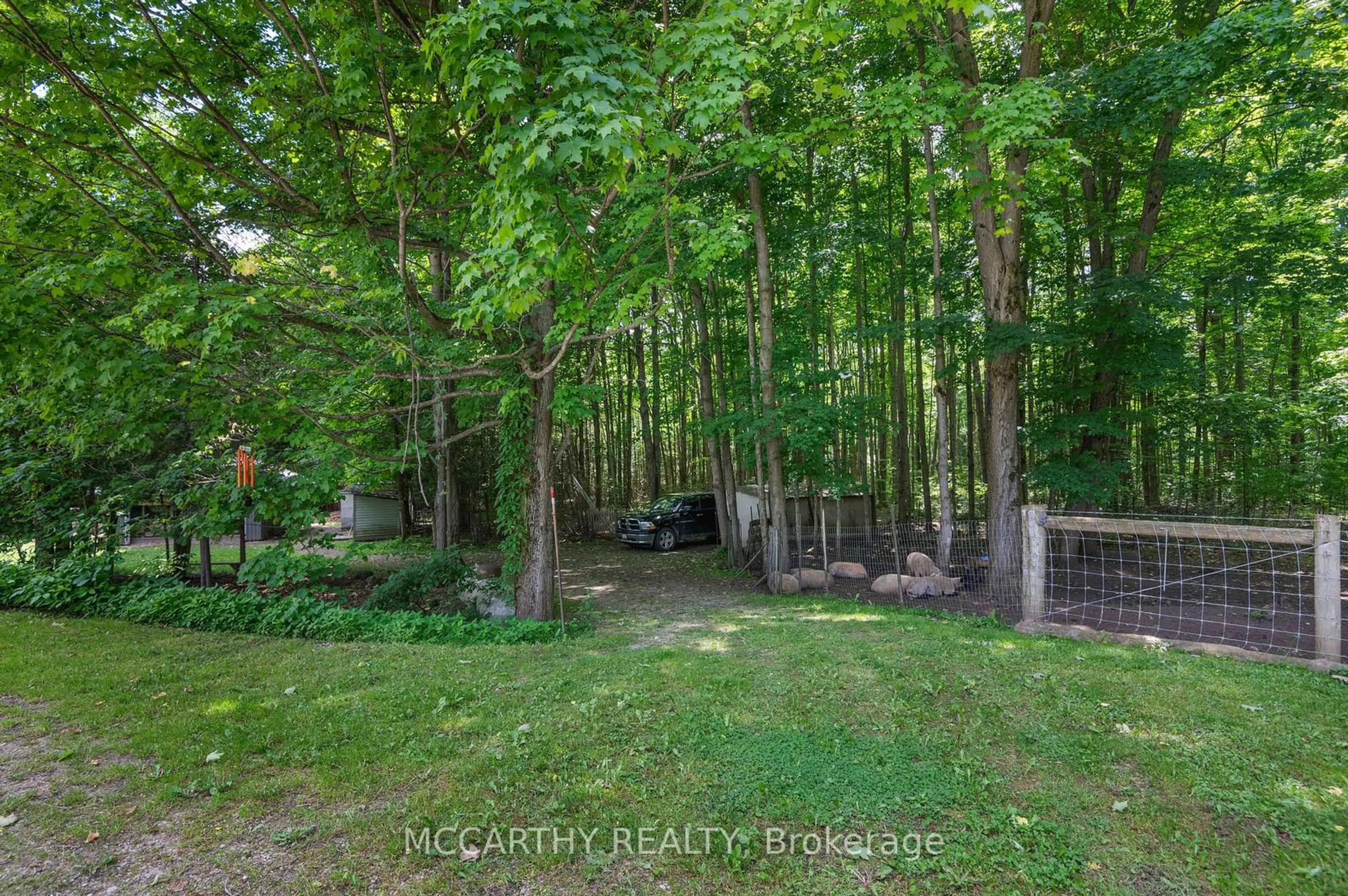 Patio, the fenced backyard for 346244 4th Concession B, Grey Highlands Ontario N0C 1E0