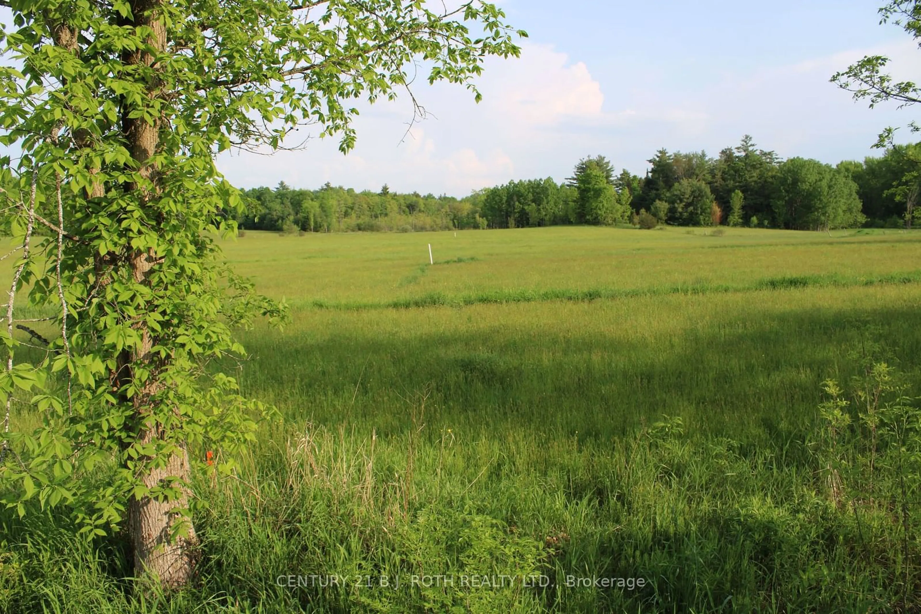 A pic of a room, unknown floor for 1521 Kilworthy Rd #LOT 4, Gravenhurst Ontario P0E 1G0