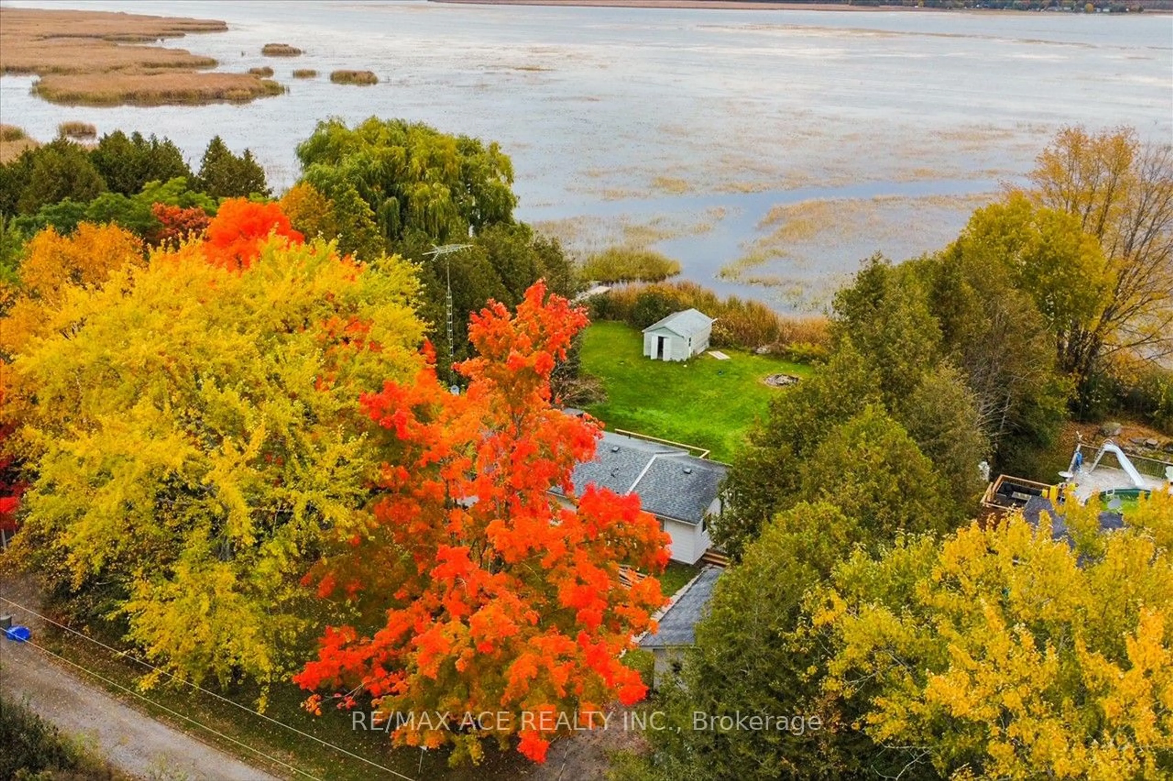 A pic from exterior of the house or condo, lake for 28 Osprey Rd, Kawartha Lakes Ontario K9V 4R5