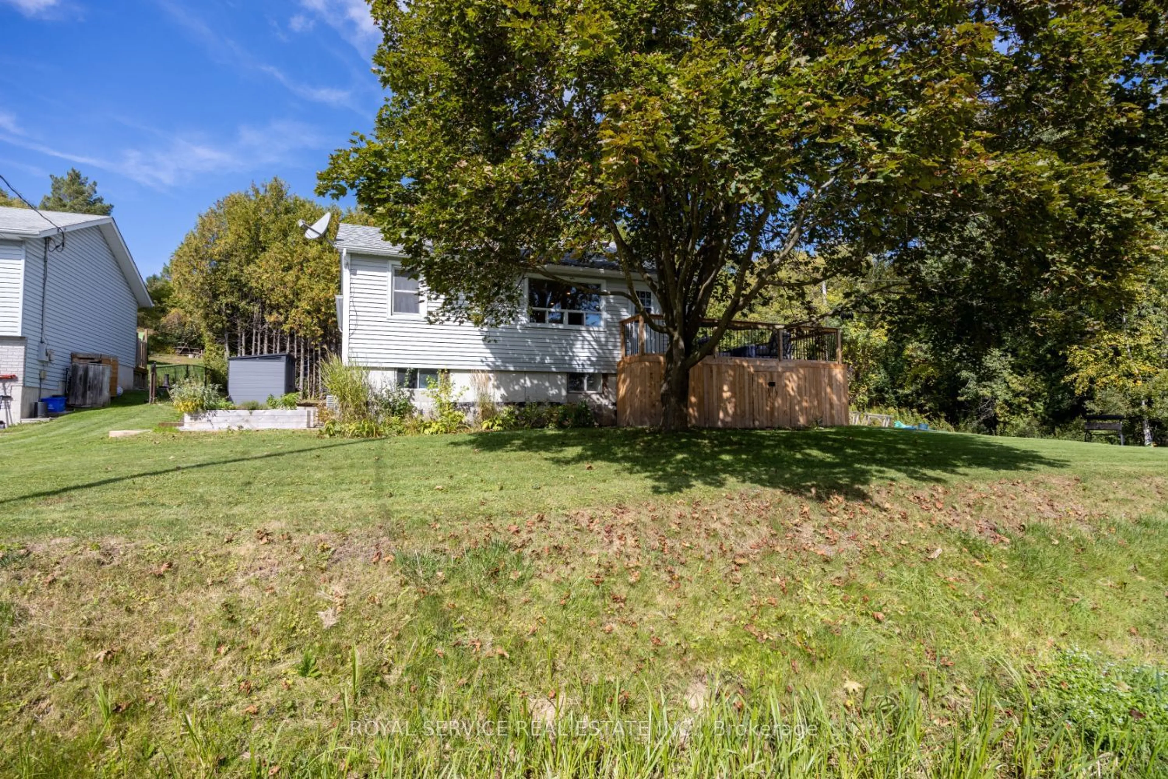 Frontside or backside of a home, the fenced backyard for 16 Hunter St, Cavan Monaghan Ontario L0A 1G0