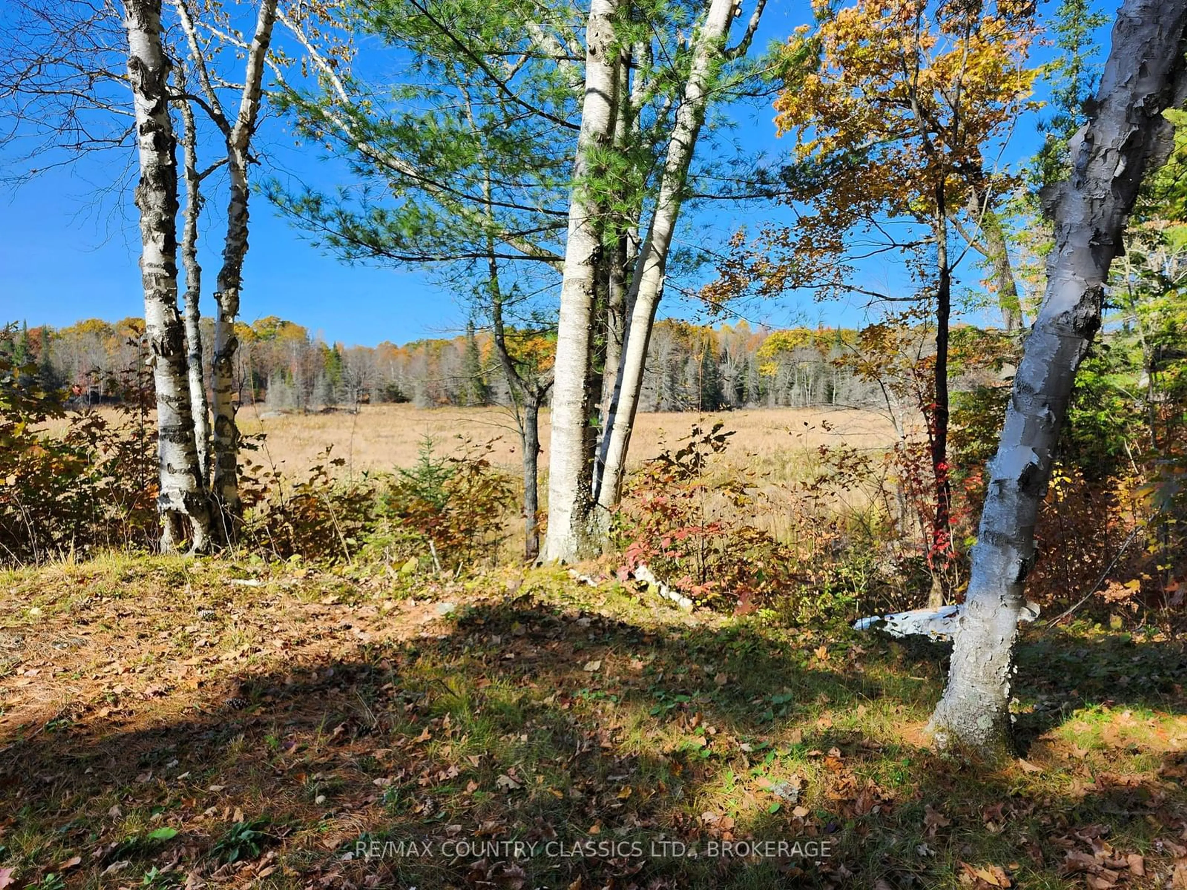 A pic of a room, not visible floor for 1116 Greer Rd, North Frontenac Ontario K0H 1J0