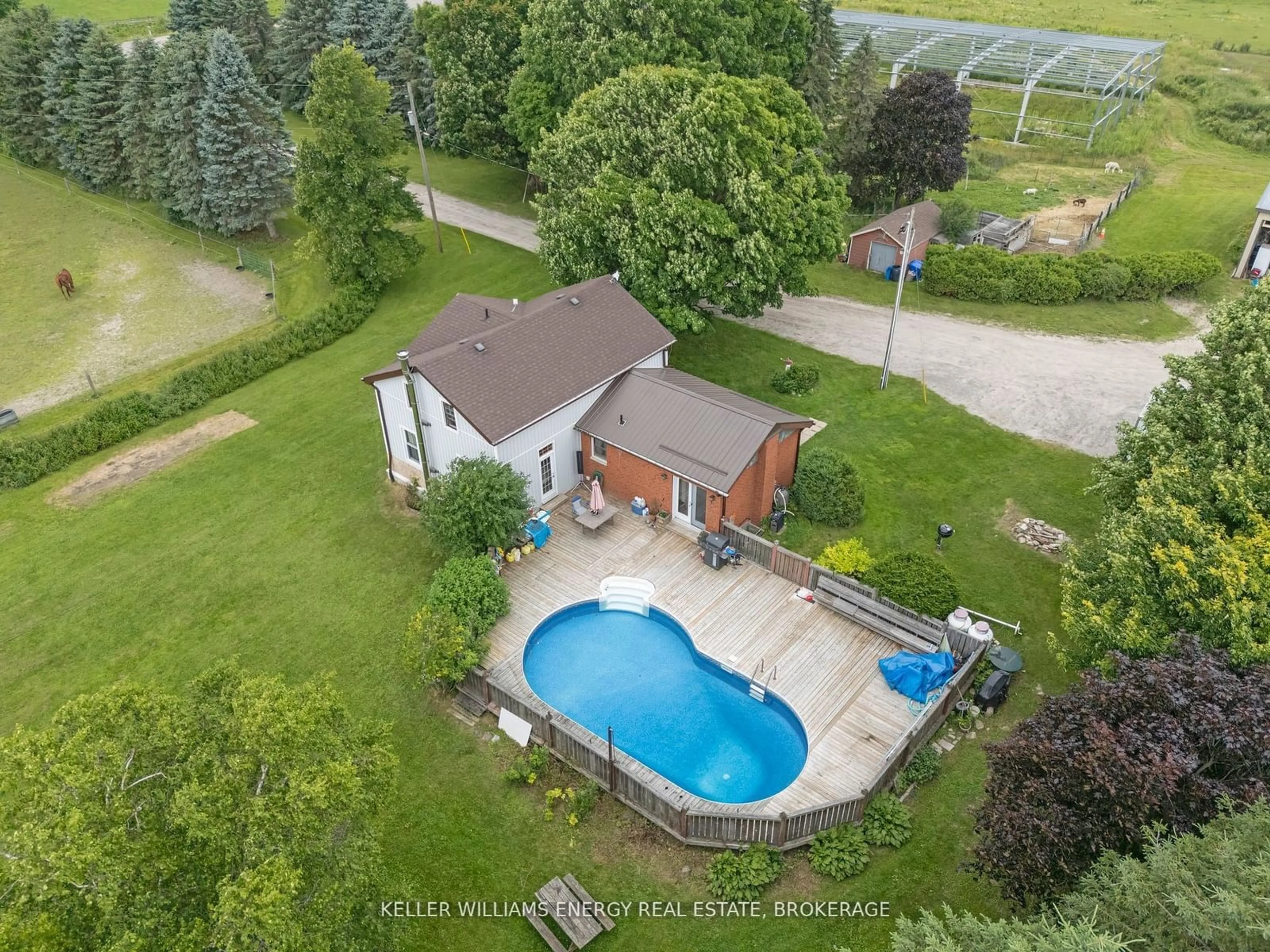 Frontside or backside of a home, the fenced backyard for 188 Valentia Rd, Kawartha Lakes Ontario K0M 2C0