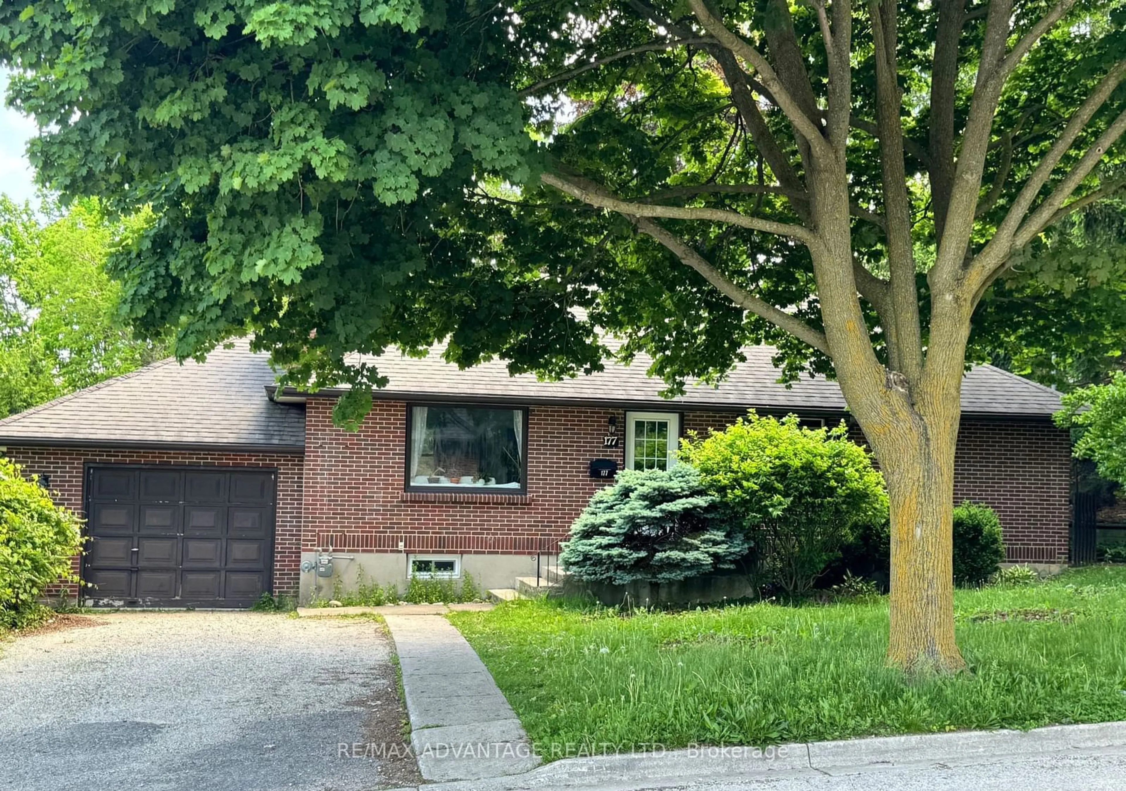 Frontside or backside of a home, the street view for 177 Foster Ave, London Ontario N6H 2L2