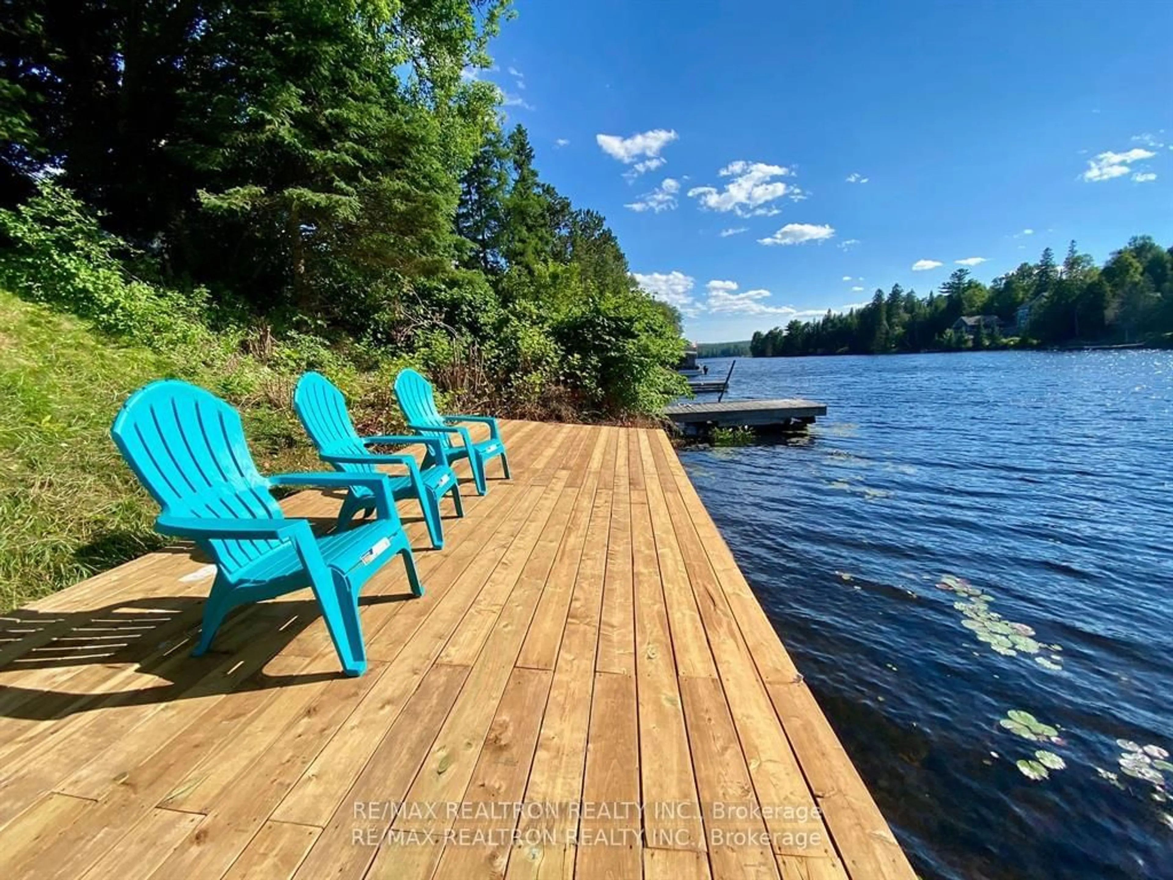 Patio, lake for 62 Ottawa St, South Algonquin Ontario K0J 2M0