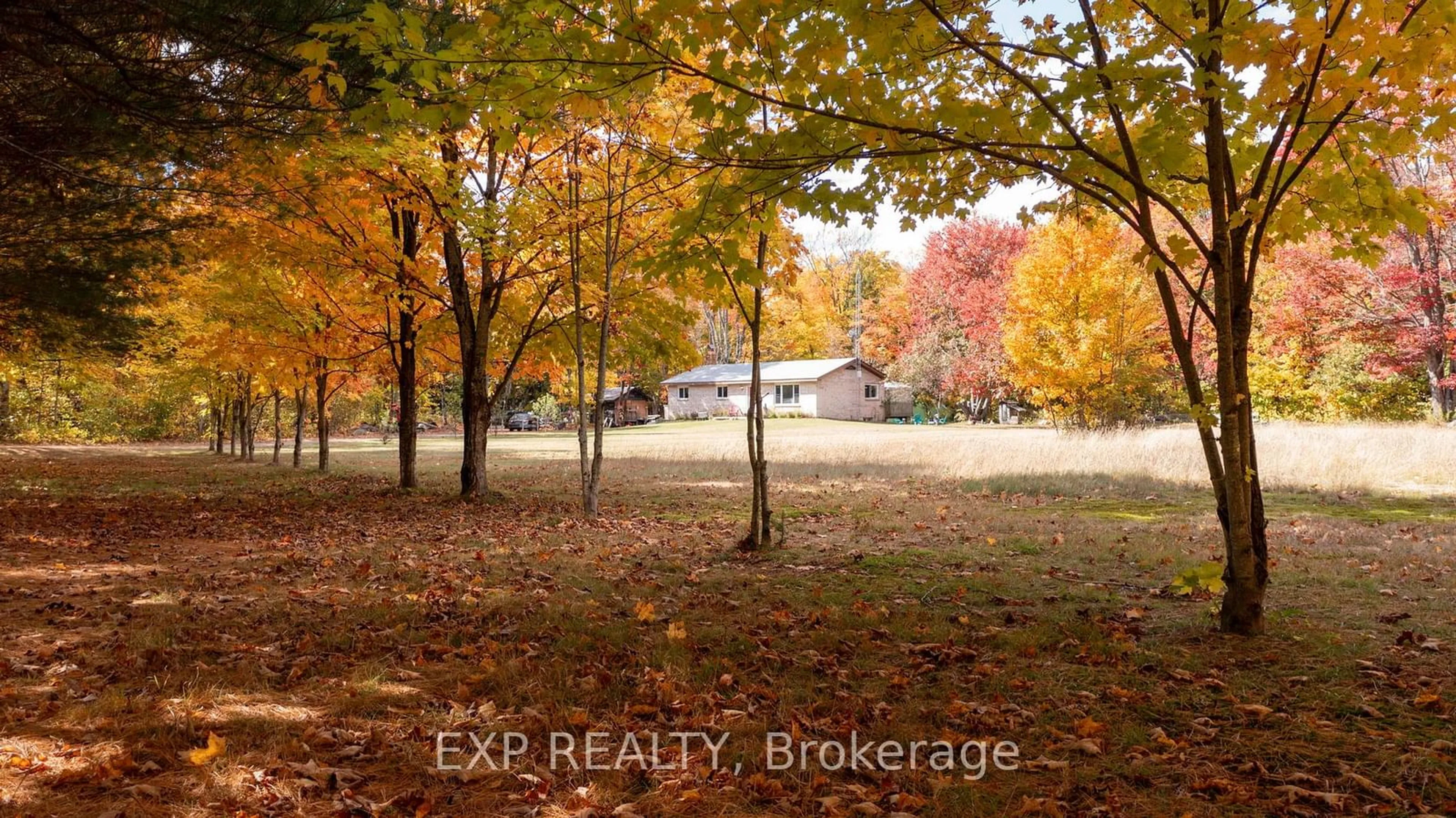 A pic from exterior of the house or condo, the fenced backyard for 4866 Highway 124, Magnetawan Ontario P0A 1P0