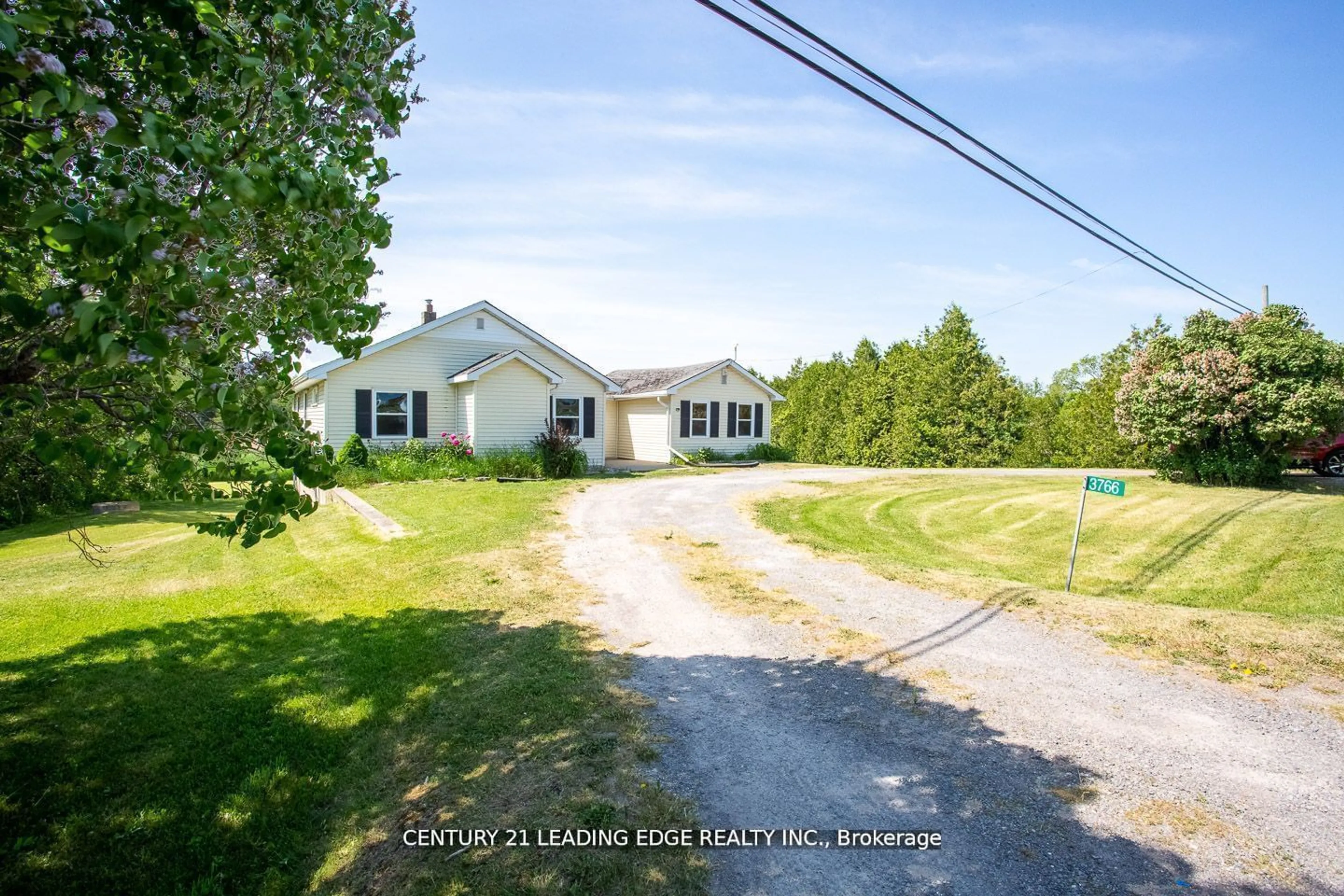 Frontside or backside of a home, the street view for 3766 County 3 Rd, Prince Edward County Ontario K0K 1L0