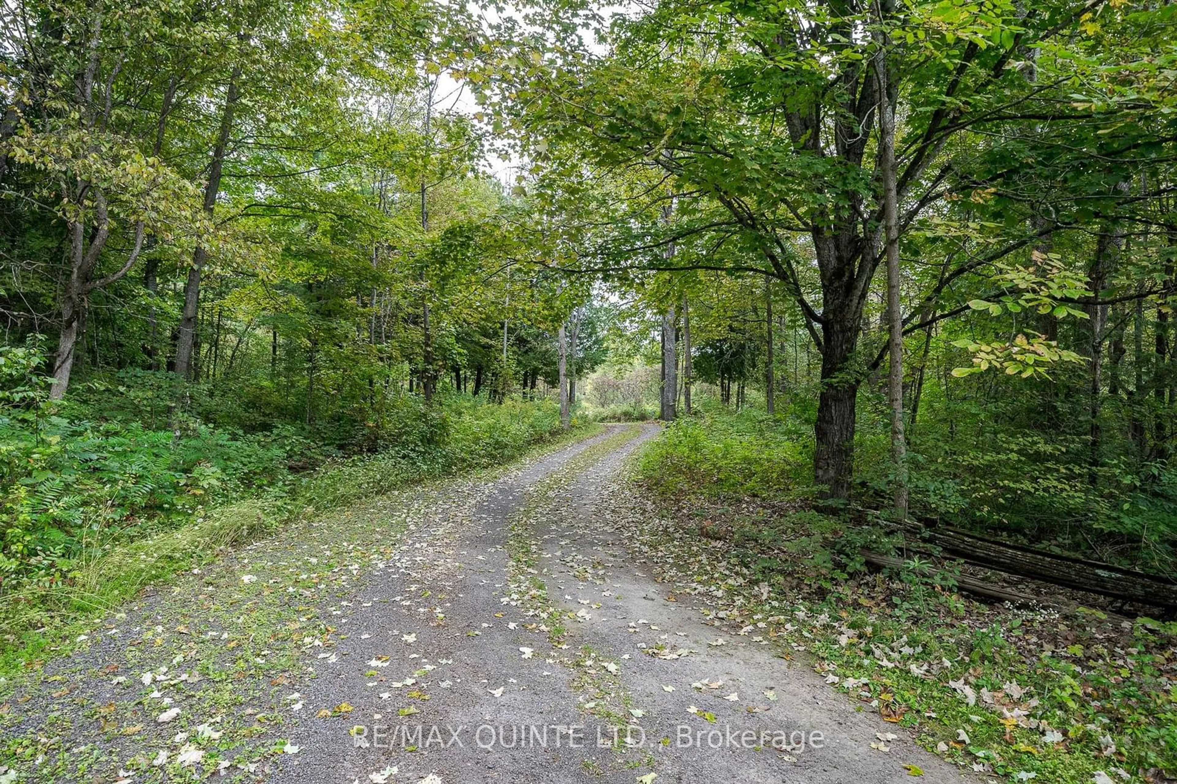 Patio, the street view for 289 Maines Rd, Tweed Ontario K0K 3H0