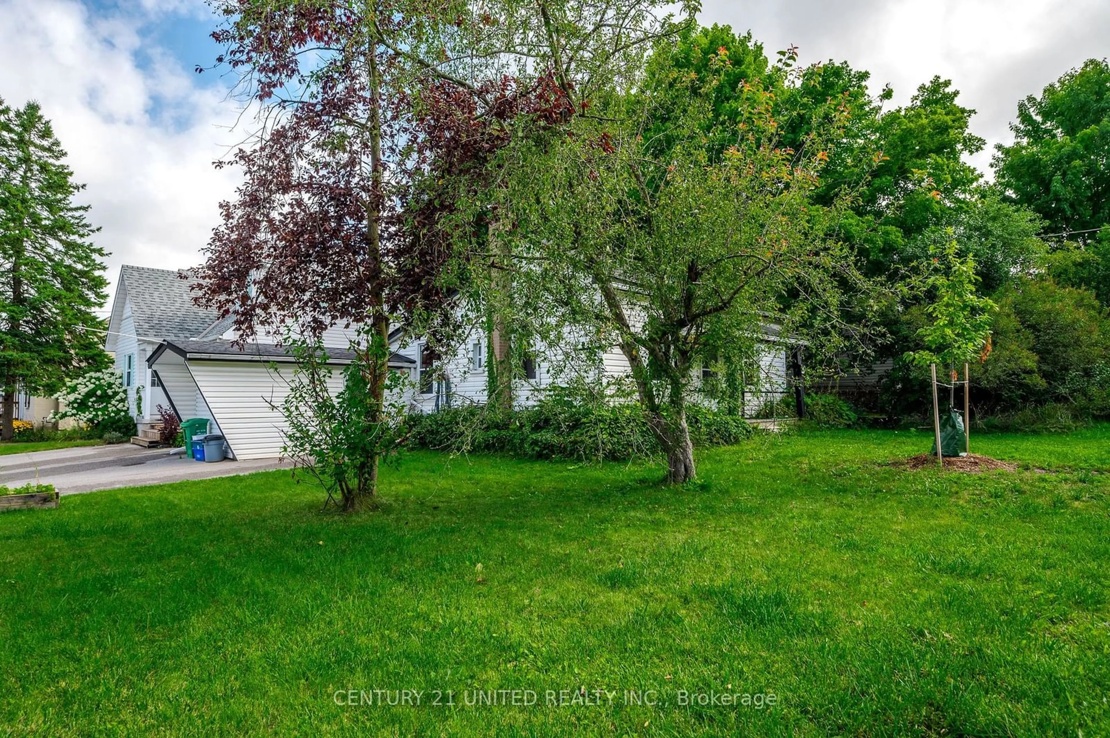 A pic from exterior of the house or condo, the fenced backyard for 350 Dublin St, Peterborough Ontario K9H 3C5