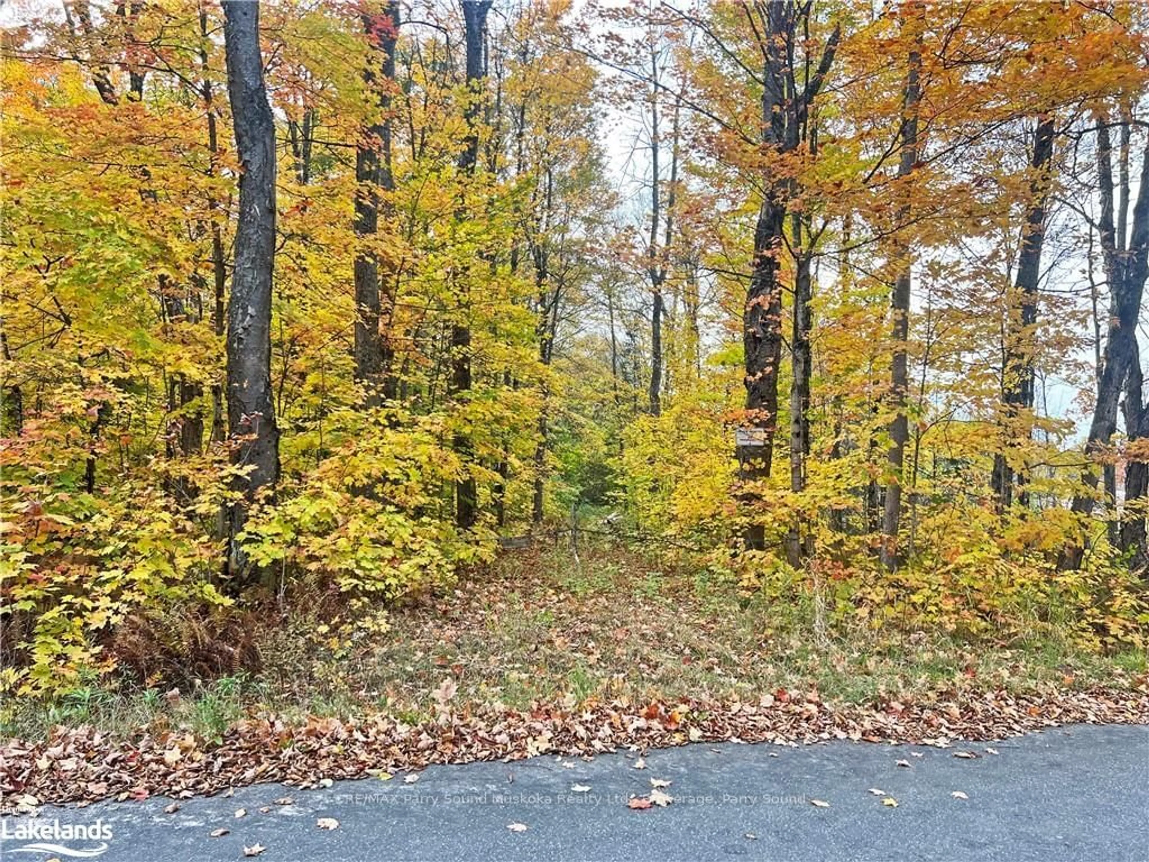 A pic from exterior of the house or condo, the street view for 0 CHIKOPI Rd, Magnetawan Ontario P0A 1P0