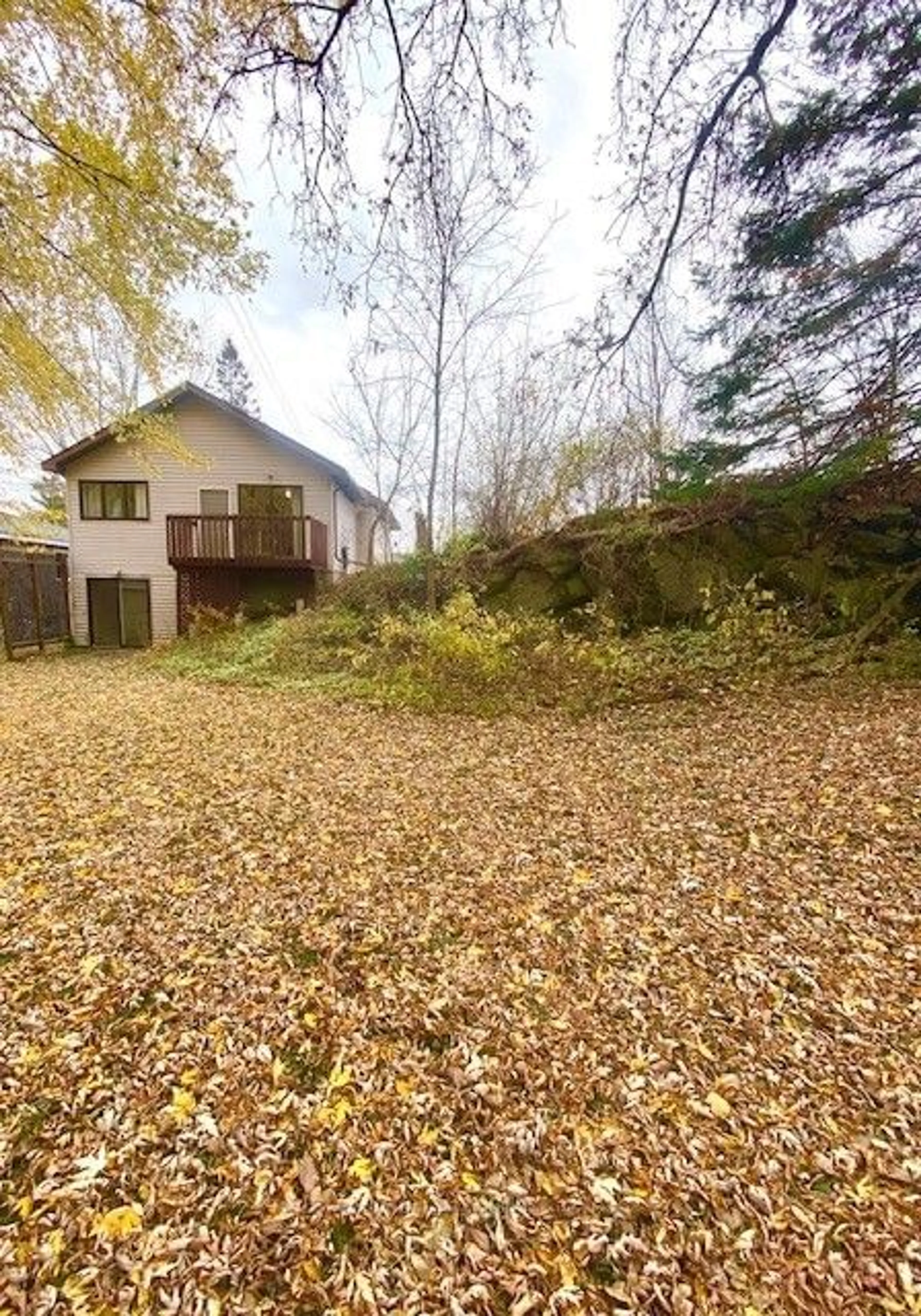 Frontside or backside of a home, the fenced backyard for 625 Queen St, Gananoque Ontario K7G 2B3