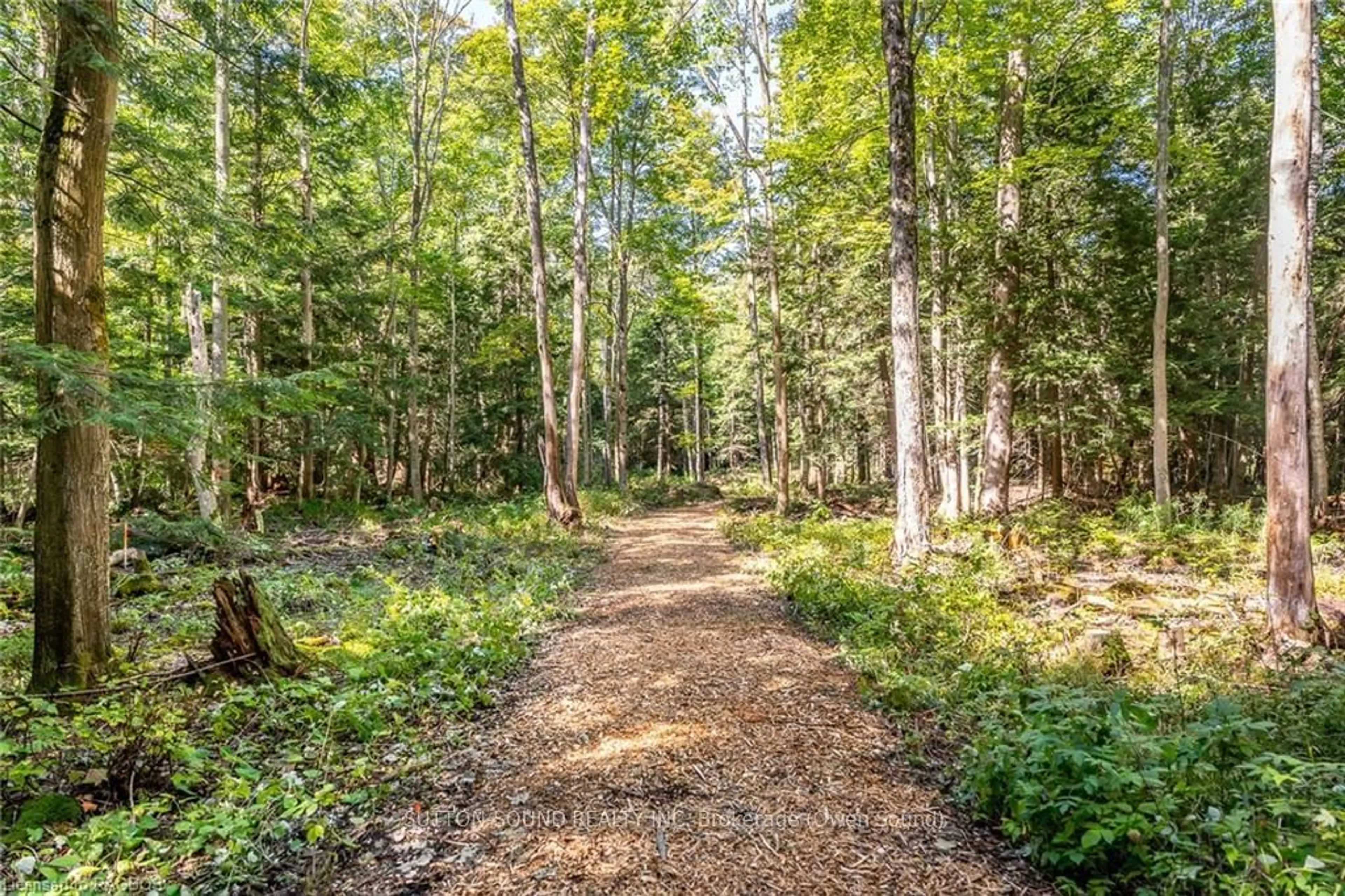 Patio, forest for LOT 12 FINAL PLAN 3M 268, Saugeen Shores Ontario N0H 2C6