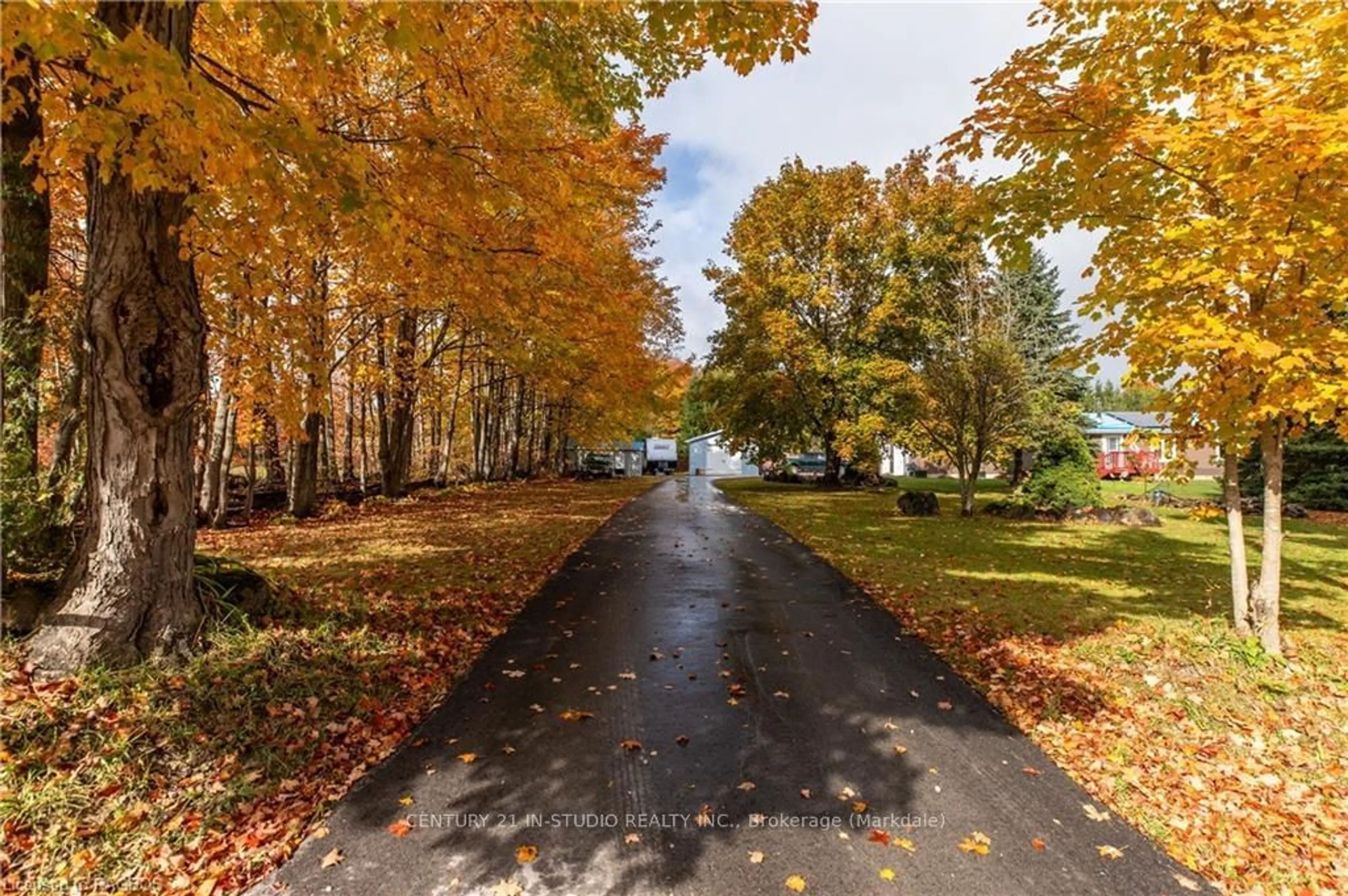 Patio, the street view for 582815 SIDEROAD 9B, Chatsworth Ontario N0H 2V0