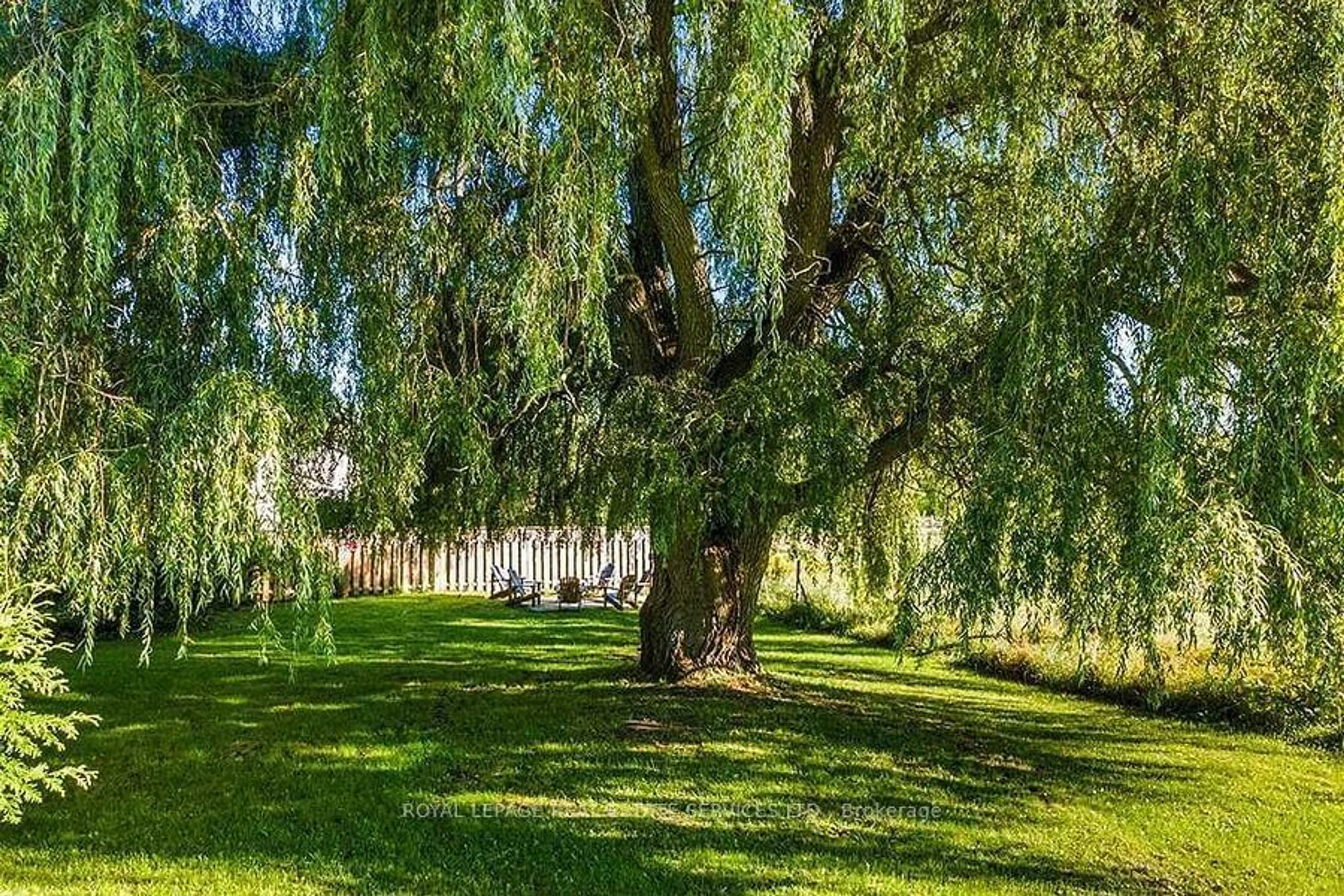 Patio, the fenced backyard for 7011 Highway 6, Northern Bruce Peninsula Ontario N0H 2R0