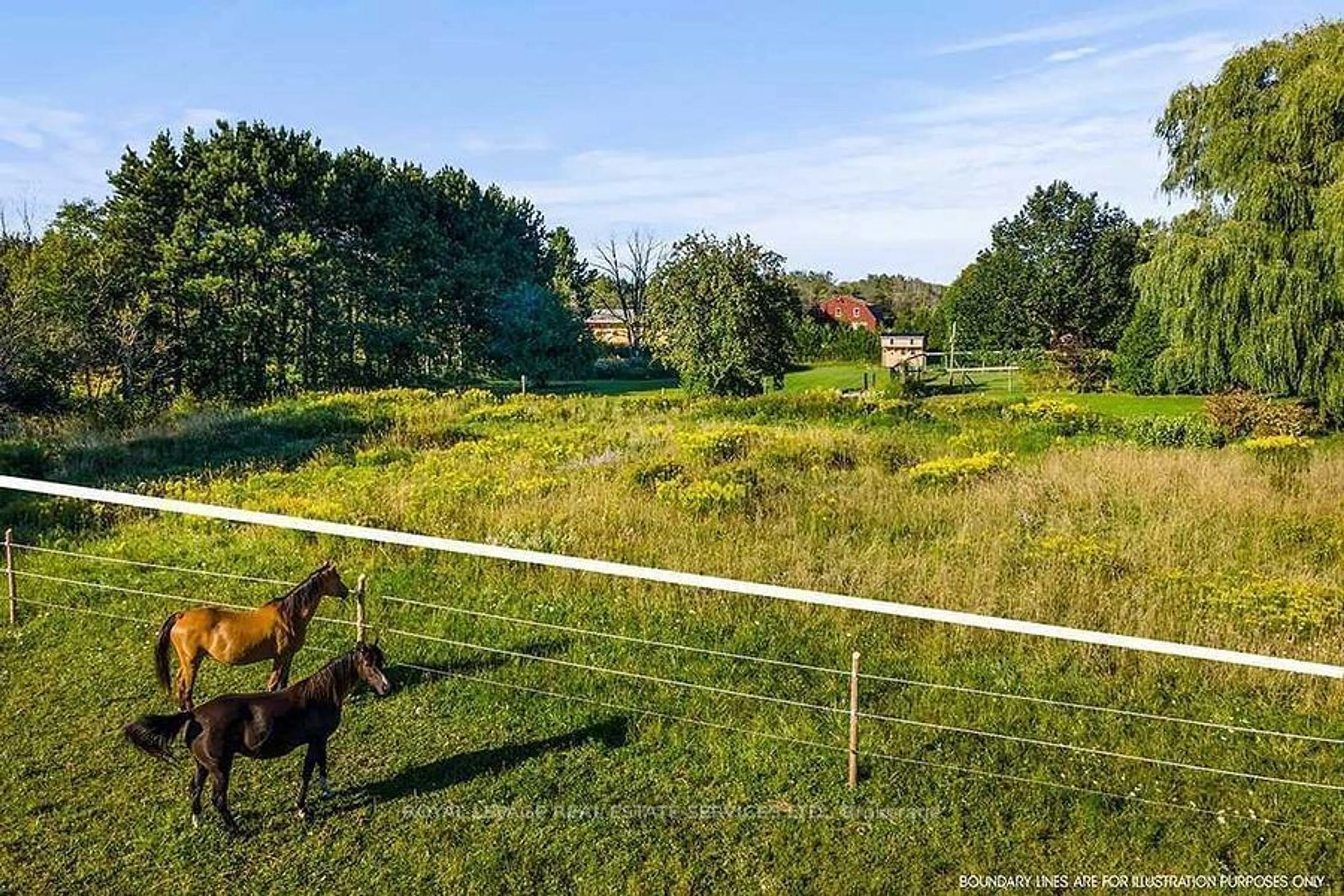 A pic from exterior of the house or condo, the fenced backyard for 7011 Highway 6, Northern Bruce Peninsula Ontario N0H 2R0