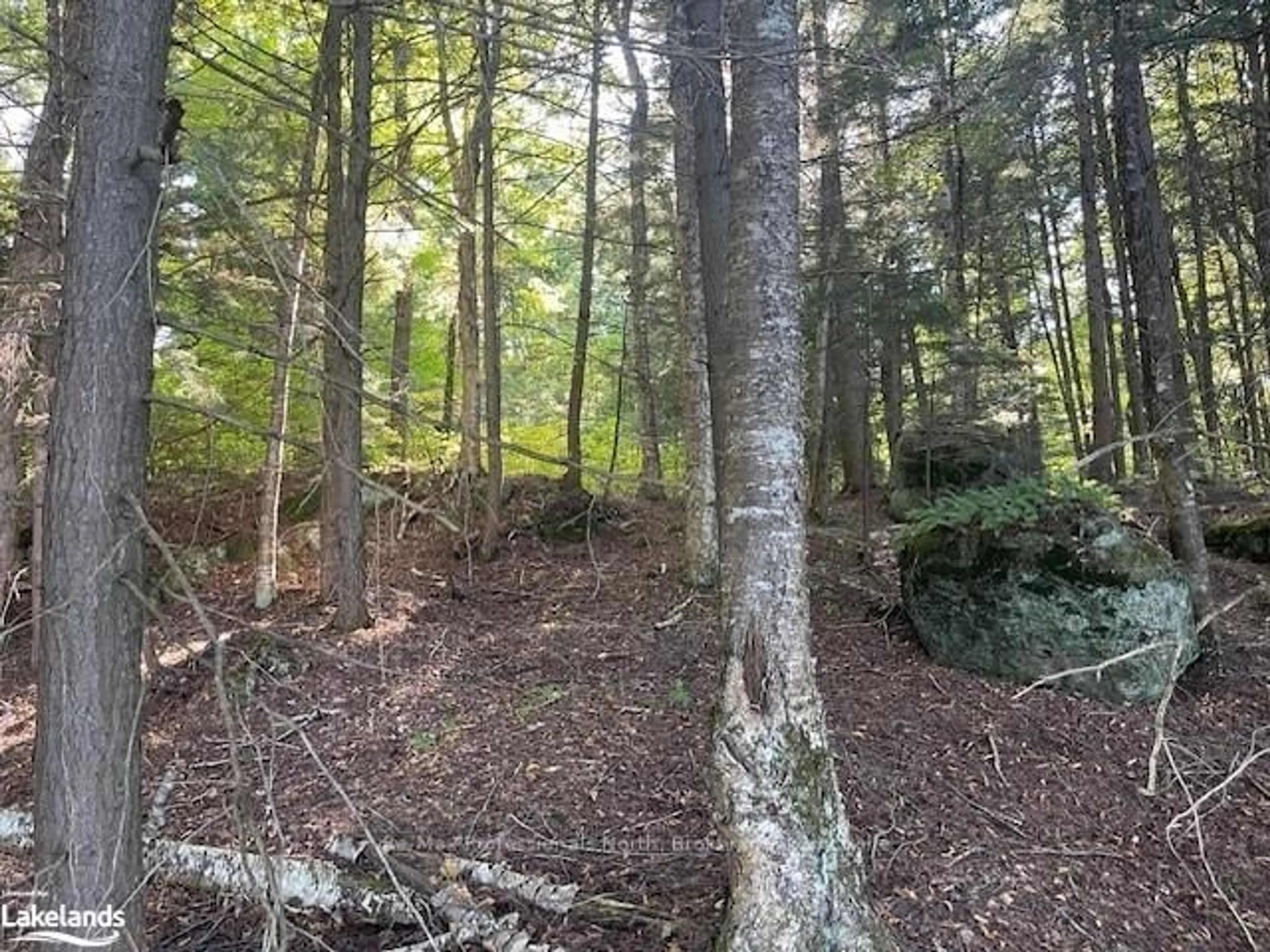 A pic of a room, unknown floor for 4 STONE GATE Lane, Bracebridge Ontario P1L 1X3