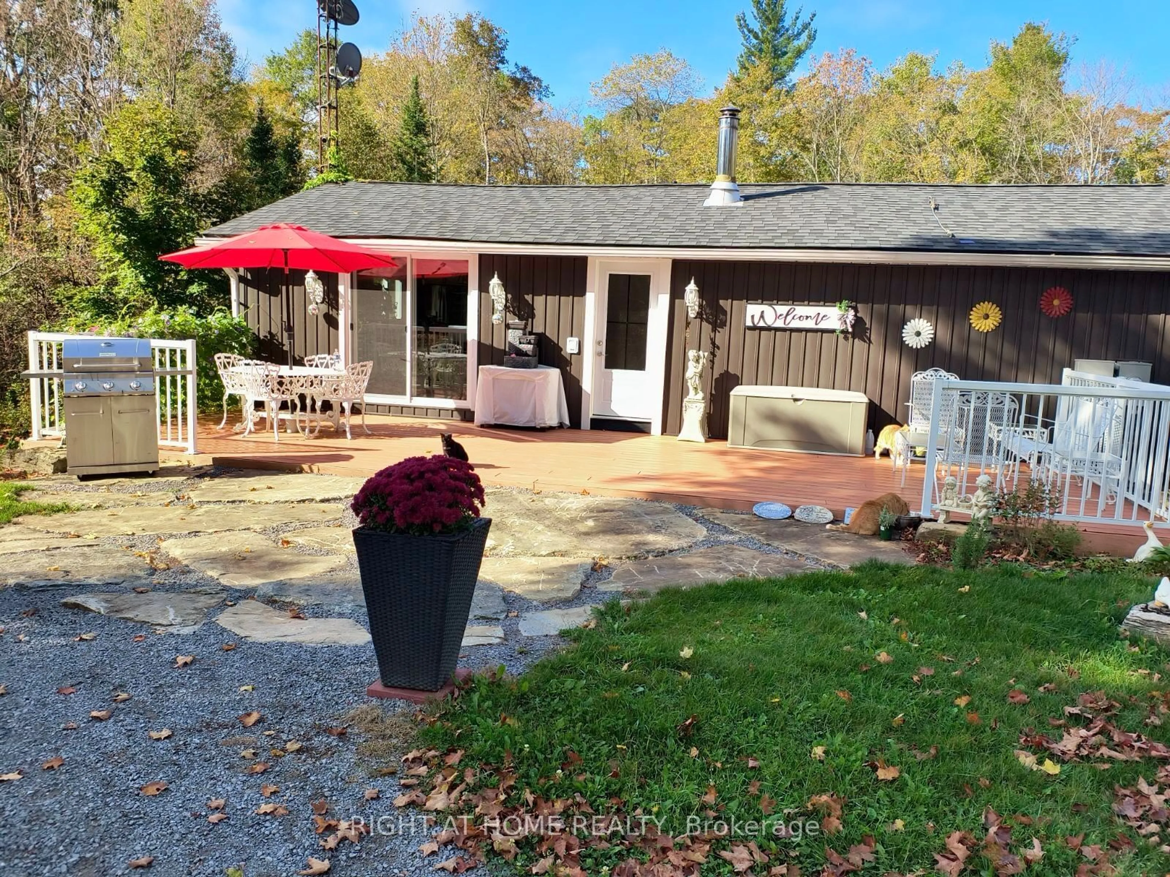 Patio, cottage for 1492 County Rd 620 Rd, North Kawartha Ontario K0L 1A0