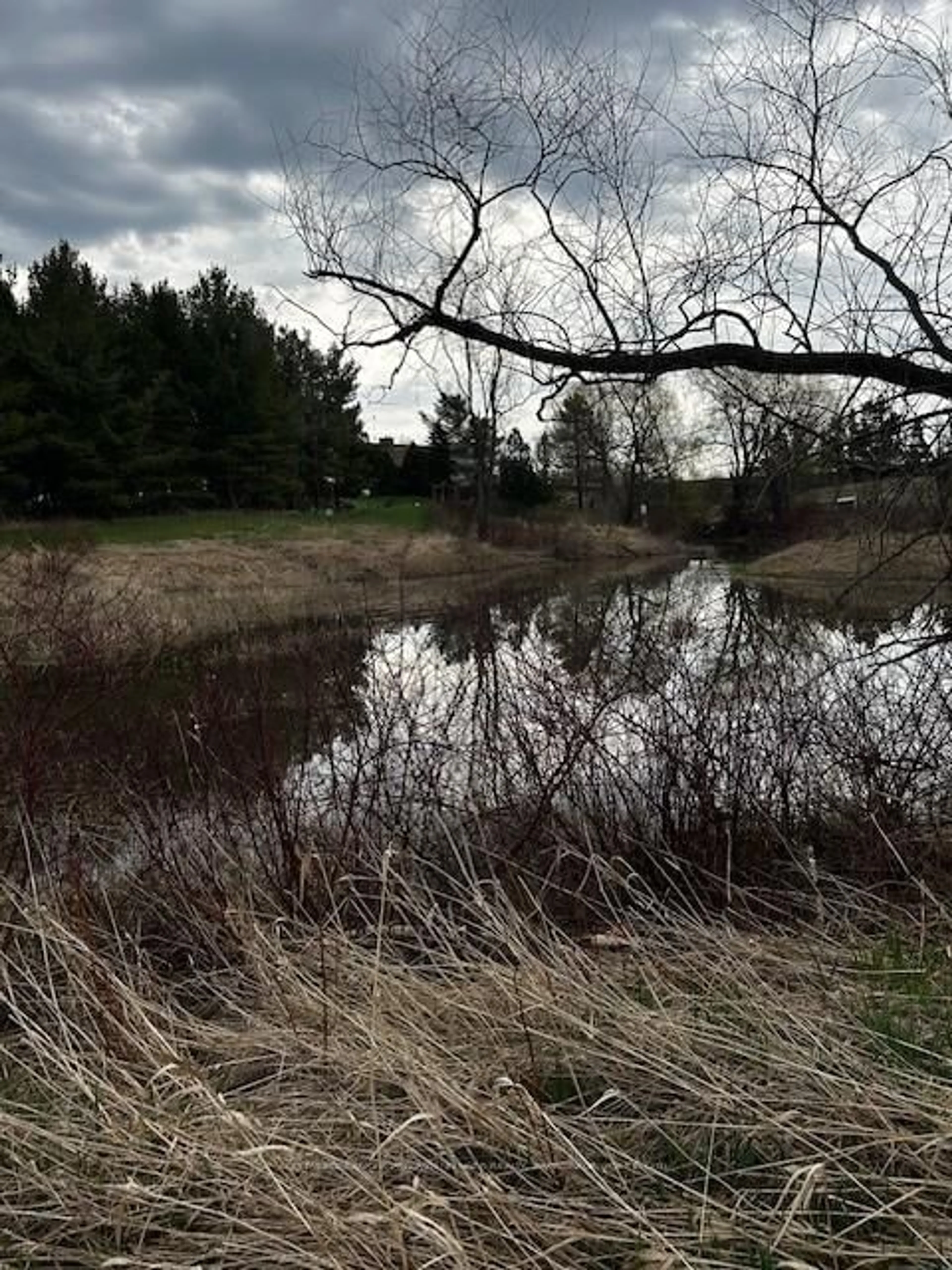 Blurry image for 207 CONCESSION ROAD 2 N/A, Saugeen Shores Ontario N0G 2N0